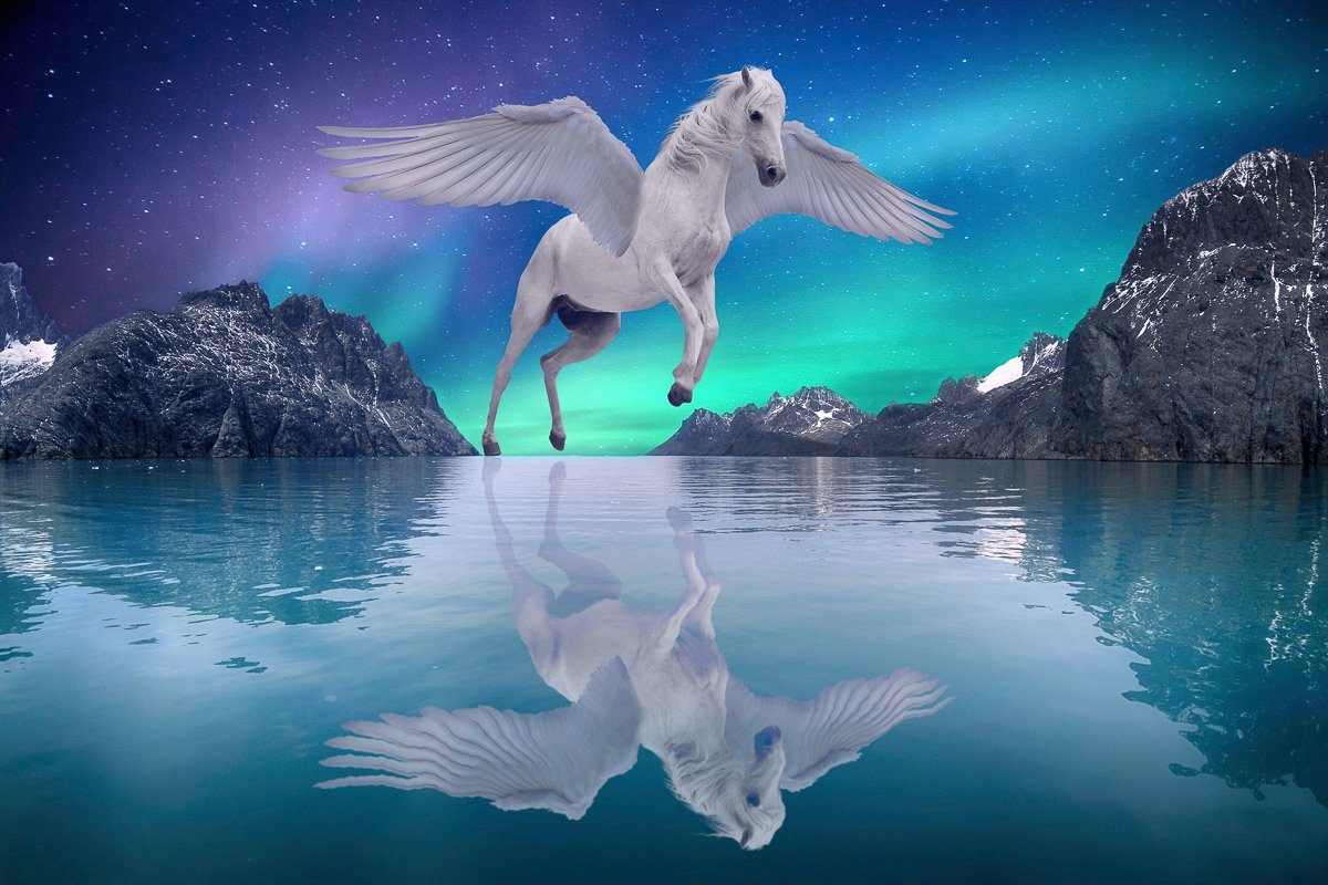 Pegasus Wasser Fototapete überm Papermoon