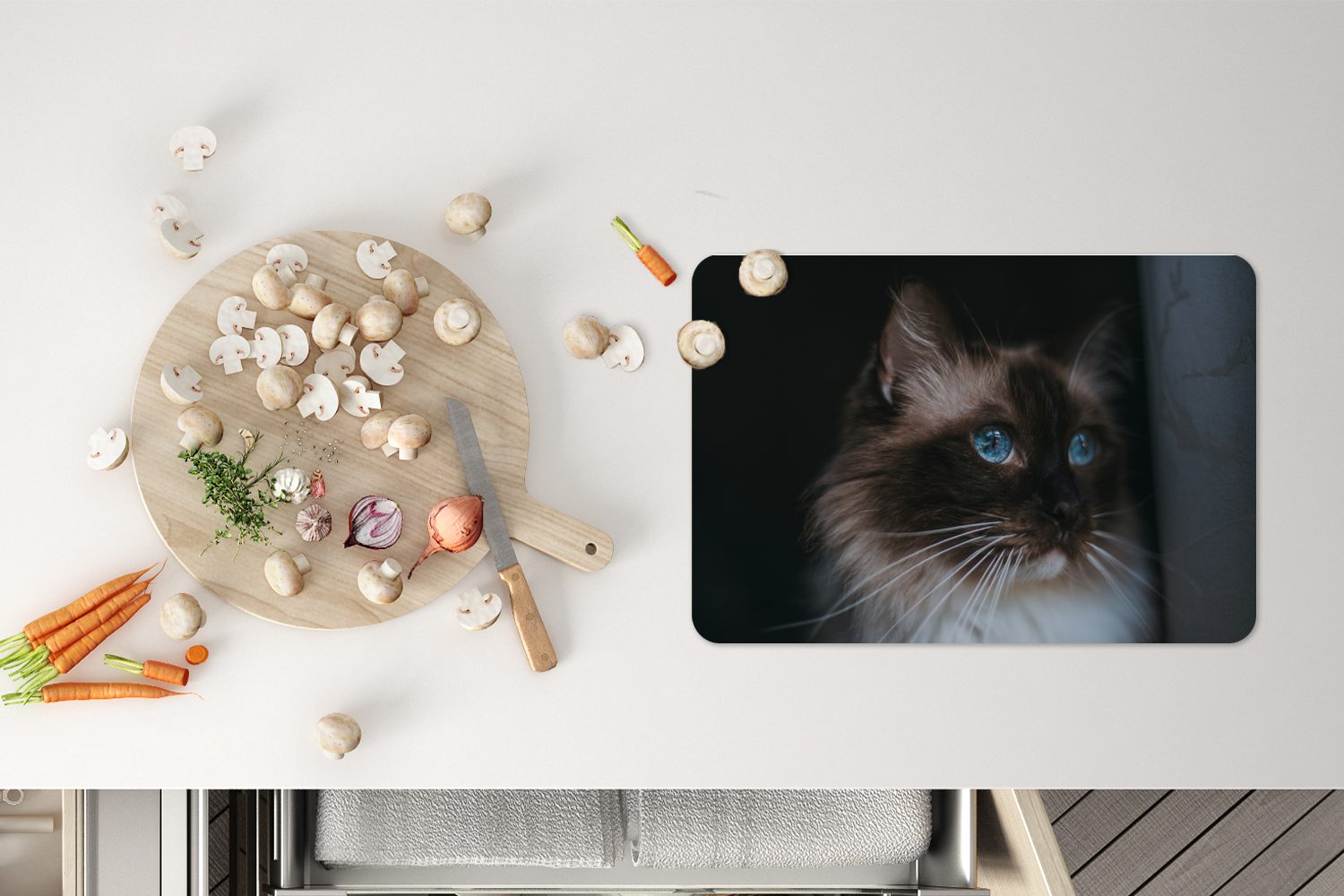 Platzset, Ragdoll-Katze mit schönen Platzmatte, Platzset, (6-St), Schmutzabweisend Tischmatten, blauen Augen, MuchoWow, Platzdecken