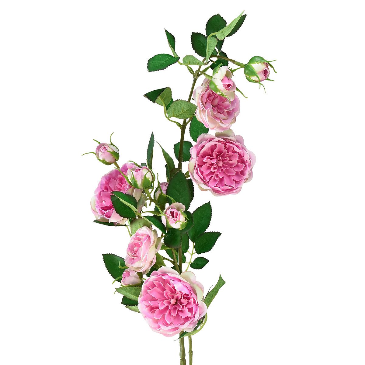 Kunstblume Seidenrosen Kunstzweig Deko Pink Creme 79cm, Florists Products, Höhe 1 cm