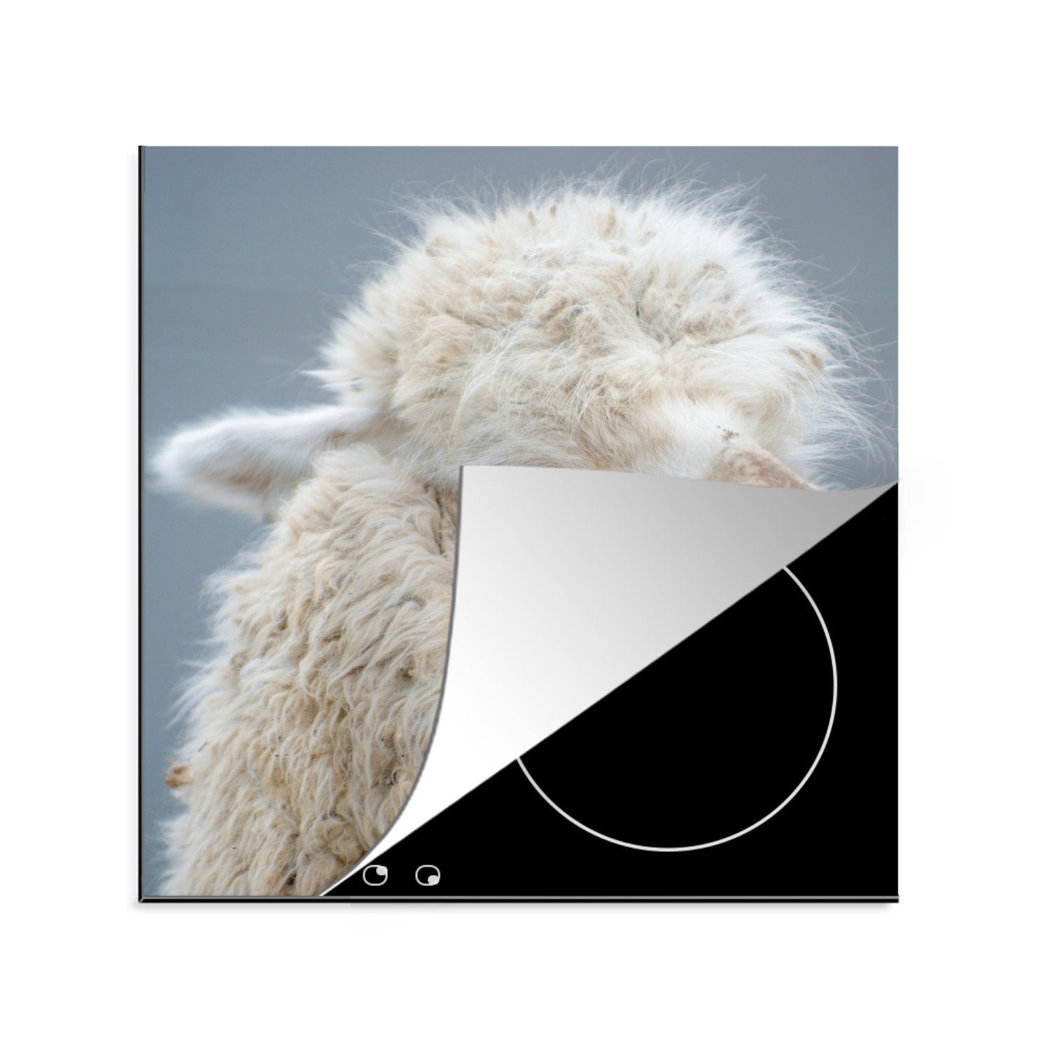 tlg), Herdblende-/Abdeckplatte (1 Tiere, cm, Ceranfeldabdeckung, Alpaka - Grau MuchoWow für Arbeitsplatte Vinyl, - küche 78x78