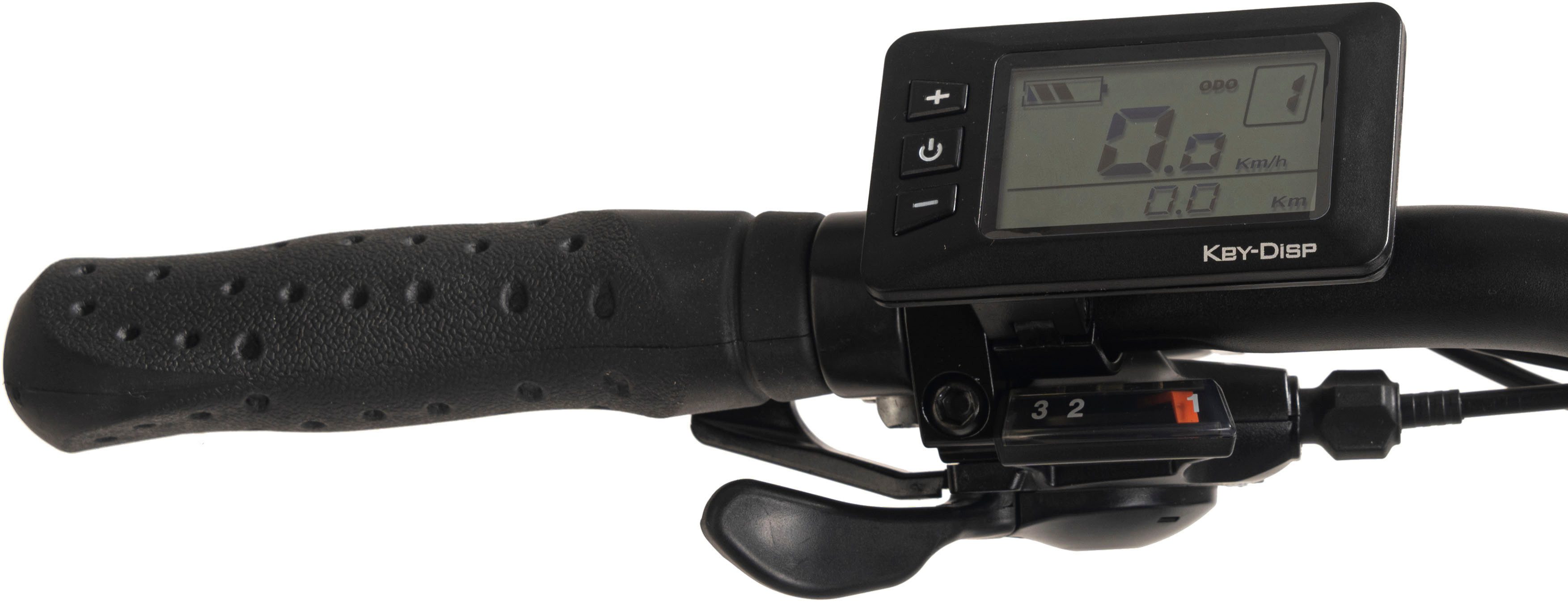 Adore E-Bike Trekkingrad ATR-190, 24 Gang Shimano Tourney Schaltwerk, Kettenschaltung, Heckmotor, 460,8 Wh, Pedelec, Elektrofahrrad für Herren