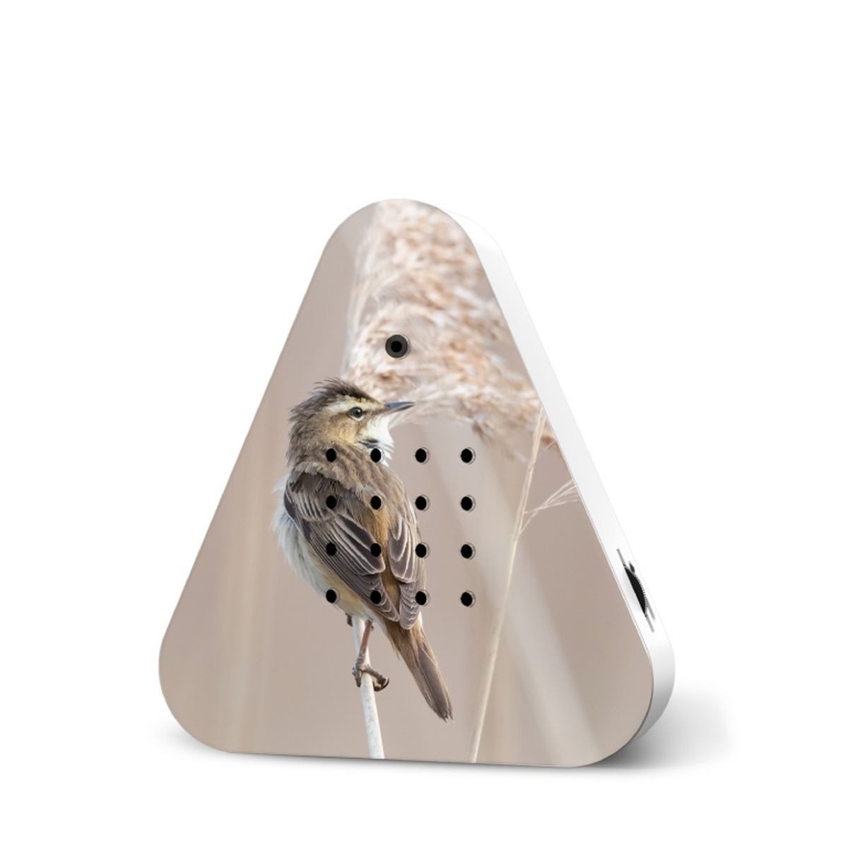 Relaxound GmbH Wanddekoobjekt Lakesidebox Teichrohrsänger Limitiert