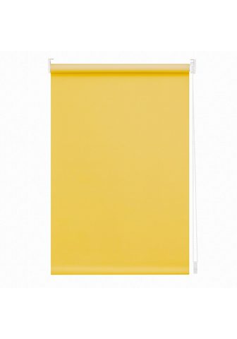LICHTBLICK Ральфроло Lichtschutz без Bohren