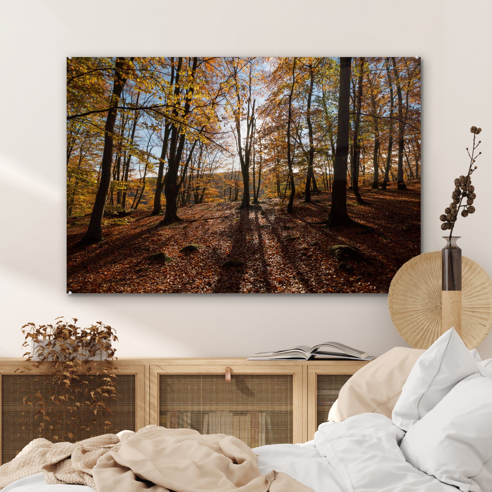 Wäldern Acrylglasbild Acrylglasbilder Nationalparks Wohnzimmer in des & Schweden, (1 MuchoWow Schlafzimmer den St), in Söderåsen Herbstfarben