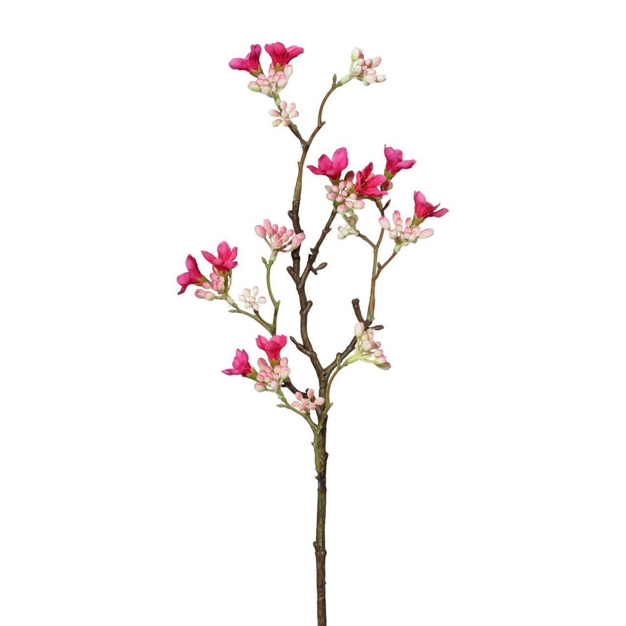 Kunstpflanze, Gasper, Höhe 51 cm, Pink H:51cm Kunststoff