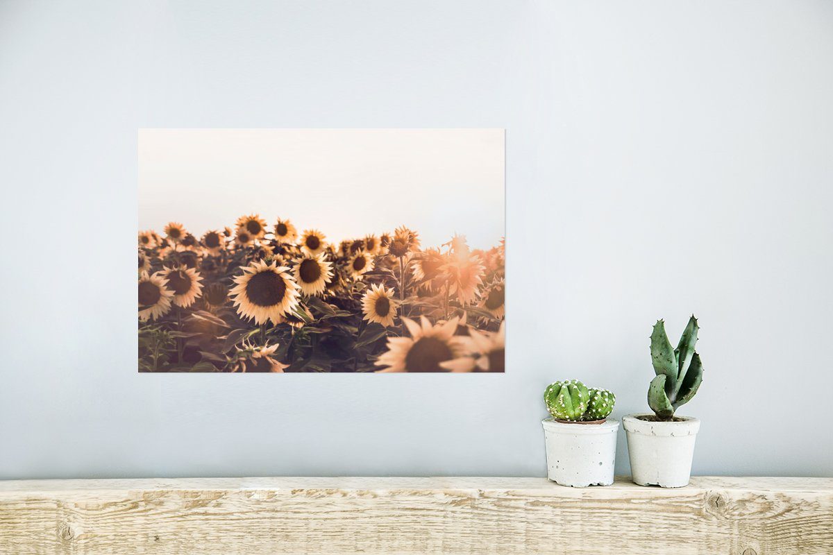 Gelb, St), Poster Sonnenblumen Ohne - Wohnzimmer, Blumen - Poster, Sonnenuntergang MuchoWow Feld für (1 Rahmen - Wandbild, Wandposter -