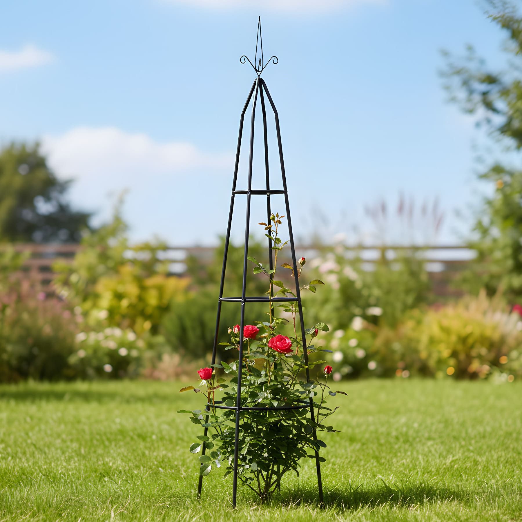 Dekoleidenschaft Rankhilfe "Pyramide" Metall schwarz Ø 35 x 200 cm Rankgitter für Kletterpflanzen, Pflanzenstütze, Rankenhilfe, Blumenstütze, Kletterhilfe – Bild 3 von 5