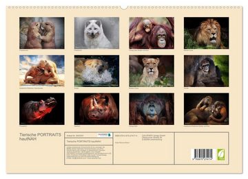 CALVENDO Wandkalender Tierische PORTRAITS hautNAH (Premium, hochwertiger DIN A2 Wandkalender 2023, Kunstdruck in Hochglanz)