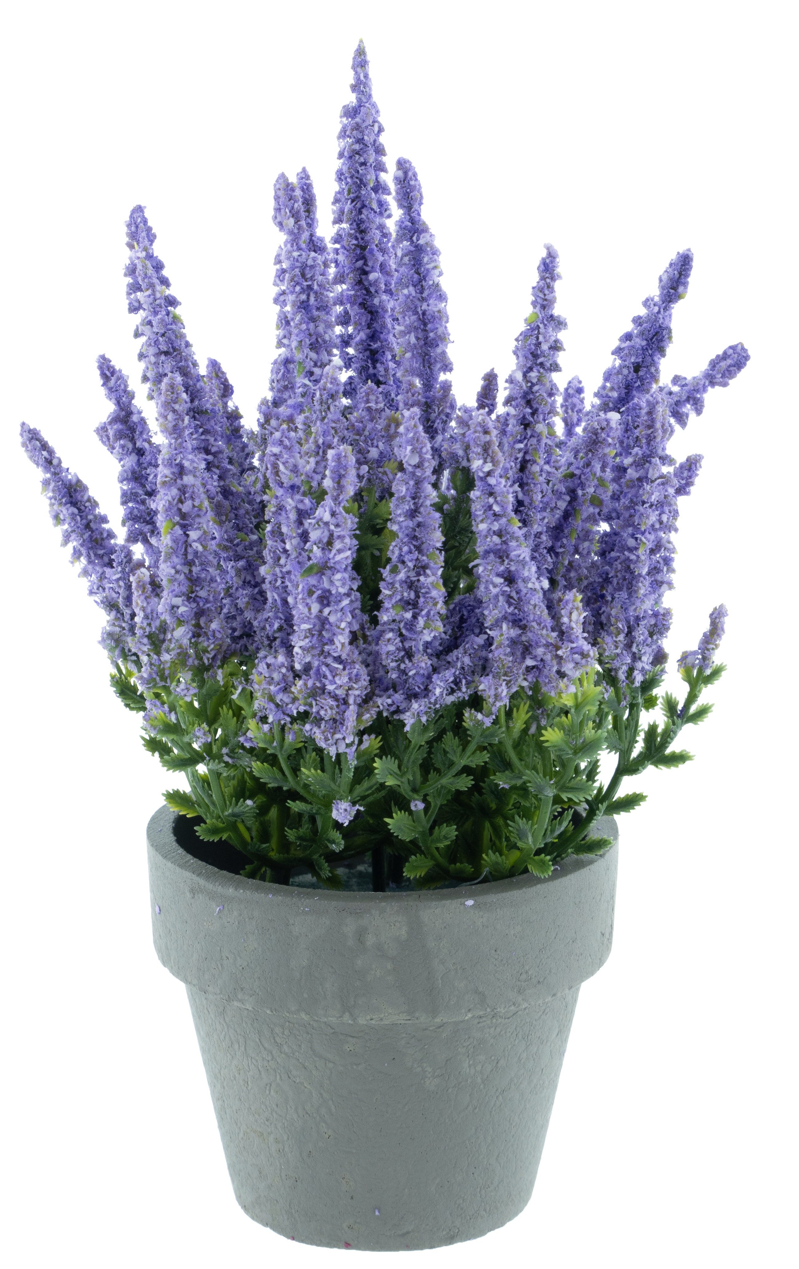 Kunstpflanze Erika im grauen Topf 13x19cm Kunstblume Heidekraut, mucPlants günstig online kaufen