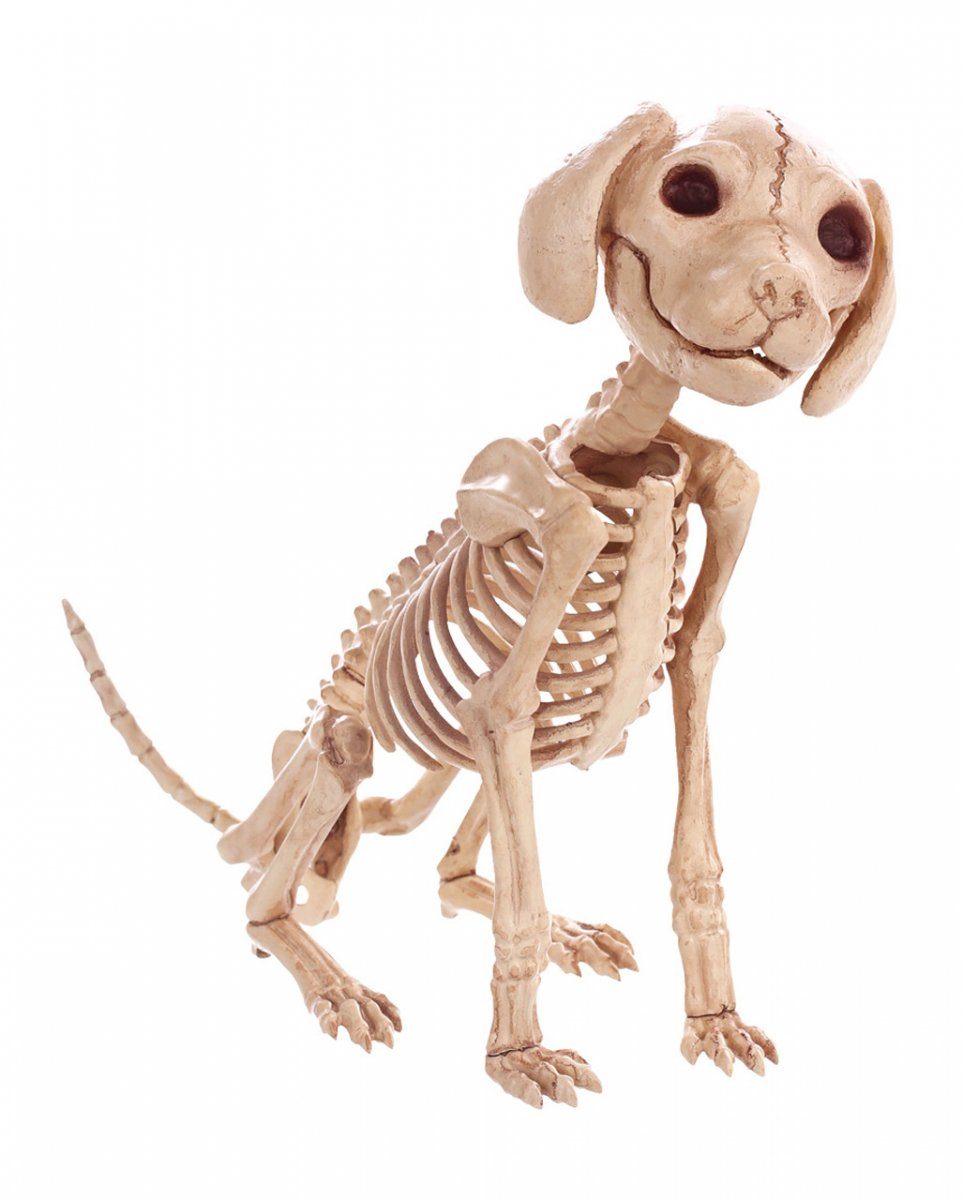 Horror-Shop Dekoobjekt Hunde Skelett als Halloween Deko 30 cm