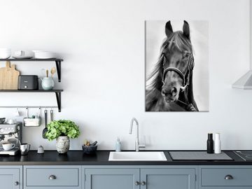 Pixxprint Glasbild braunes Pferd, braunes Pferd (1 St), Glasbild aus Echtglas, inkl. Aufhängungen und Abstandshalter