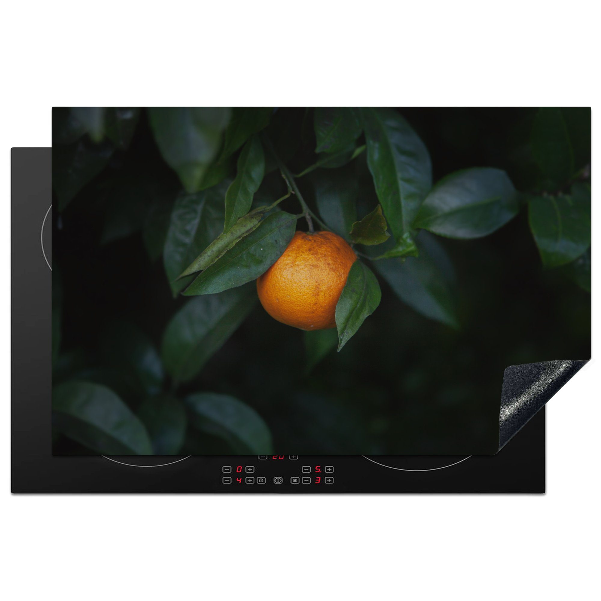 MuchoWow Herdblende-/Abdeckplatte Obst - Orange - Baum, Vinyl, (1 tlg), 81x52 cm, Induktionskochfeld Schutz für die küche, Ceranfeldabdeckung