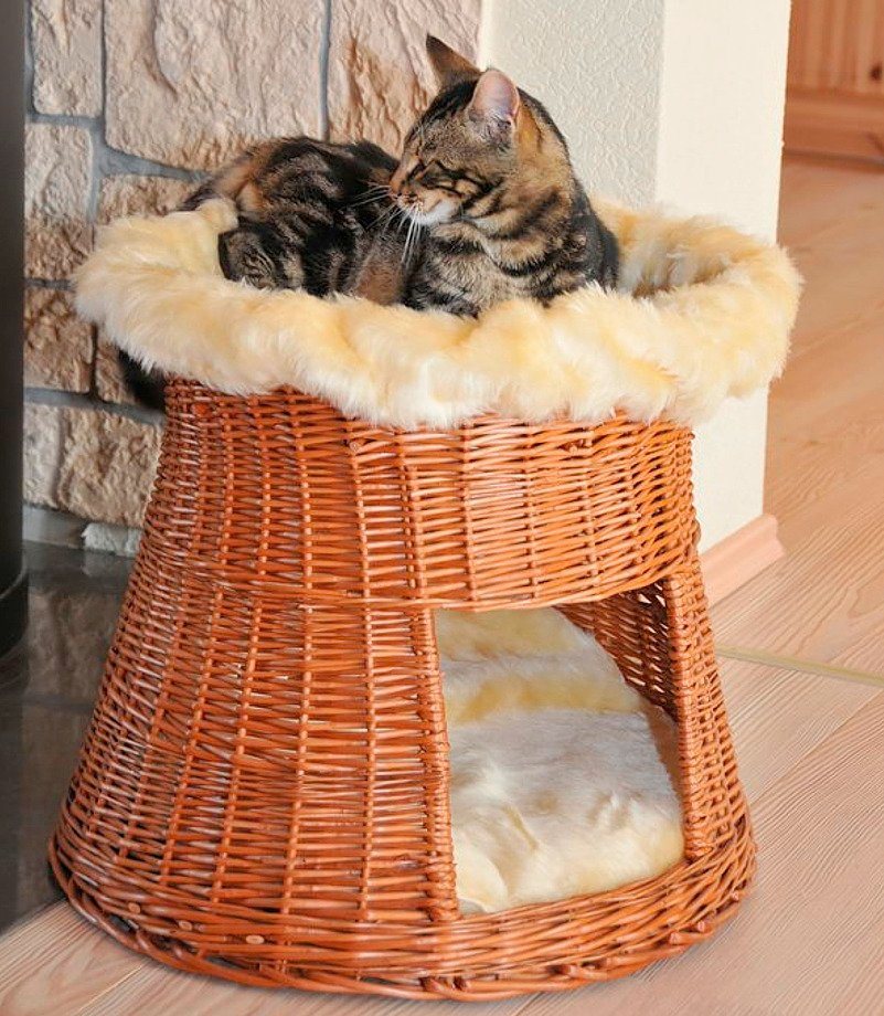 Katzenschlafplätze