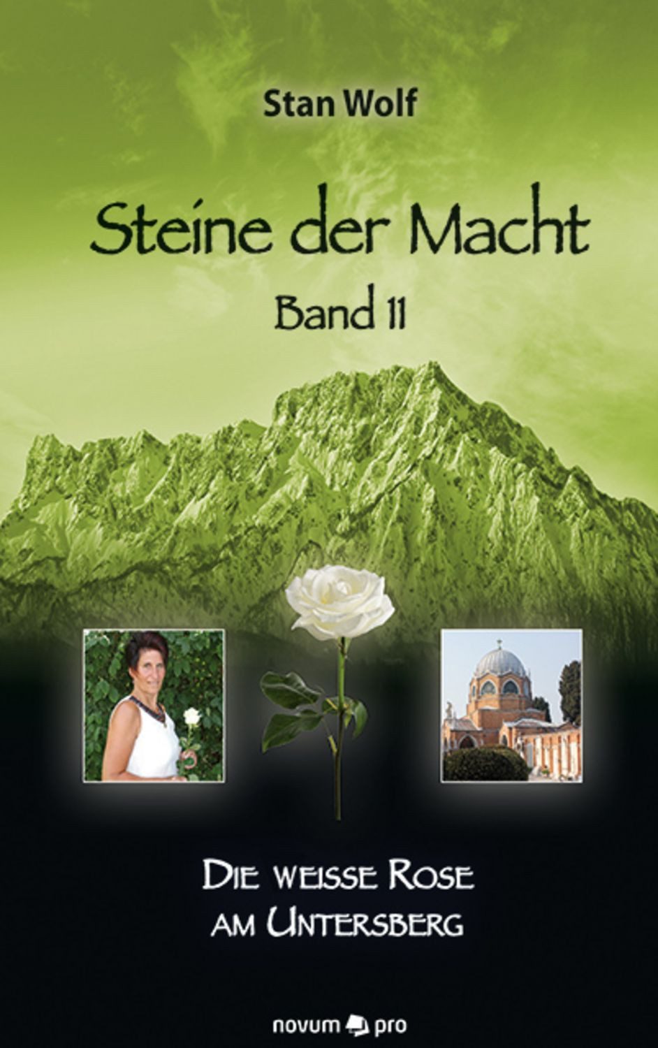 Steine der Macht – Band 11 / Stan Wolf