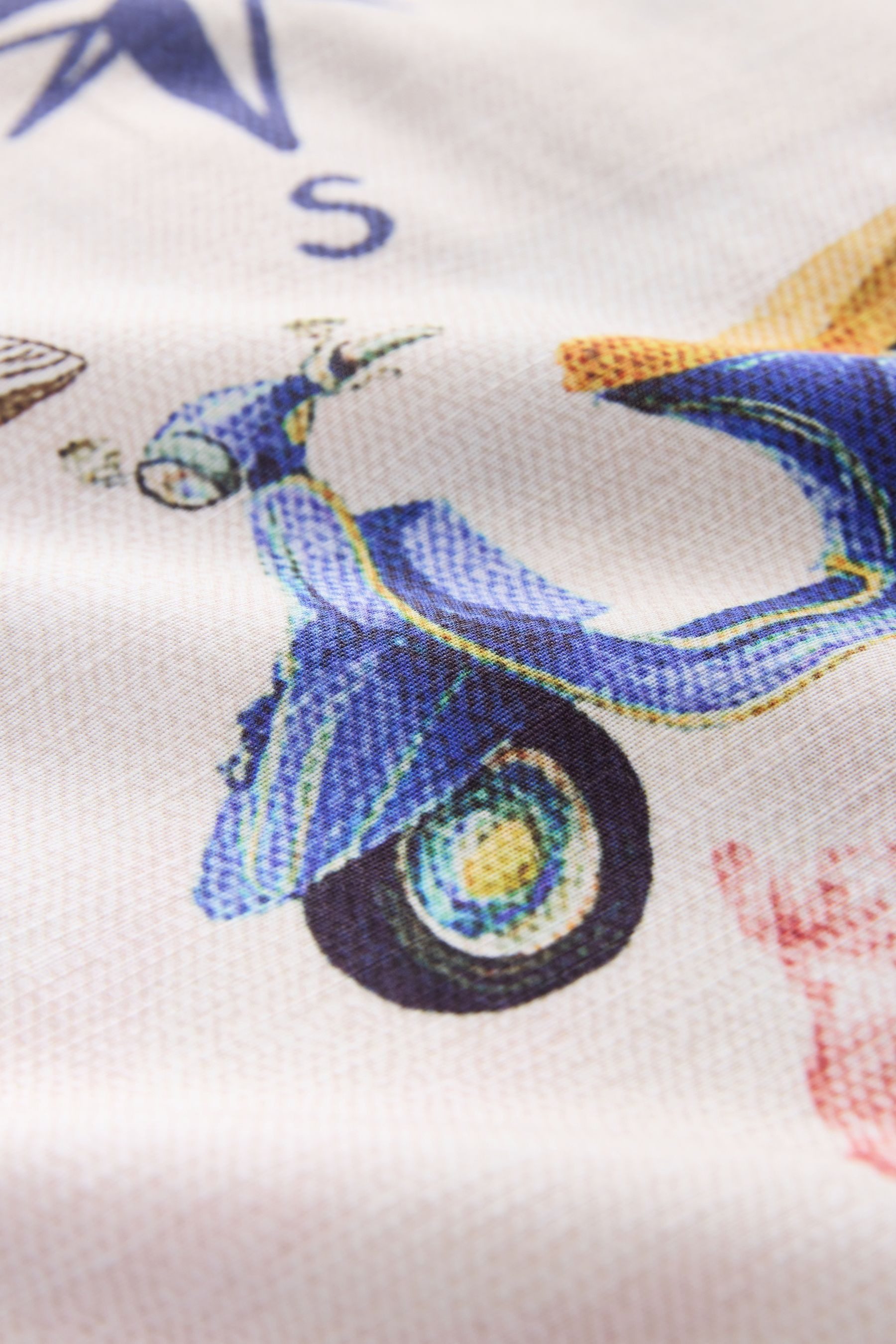Next Shirttop Ärmelloses Top (1-tlg)