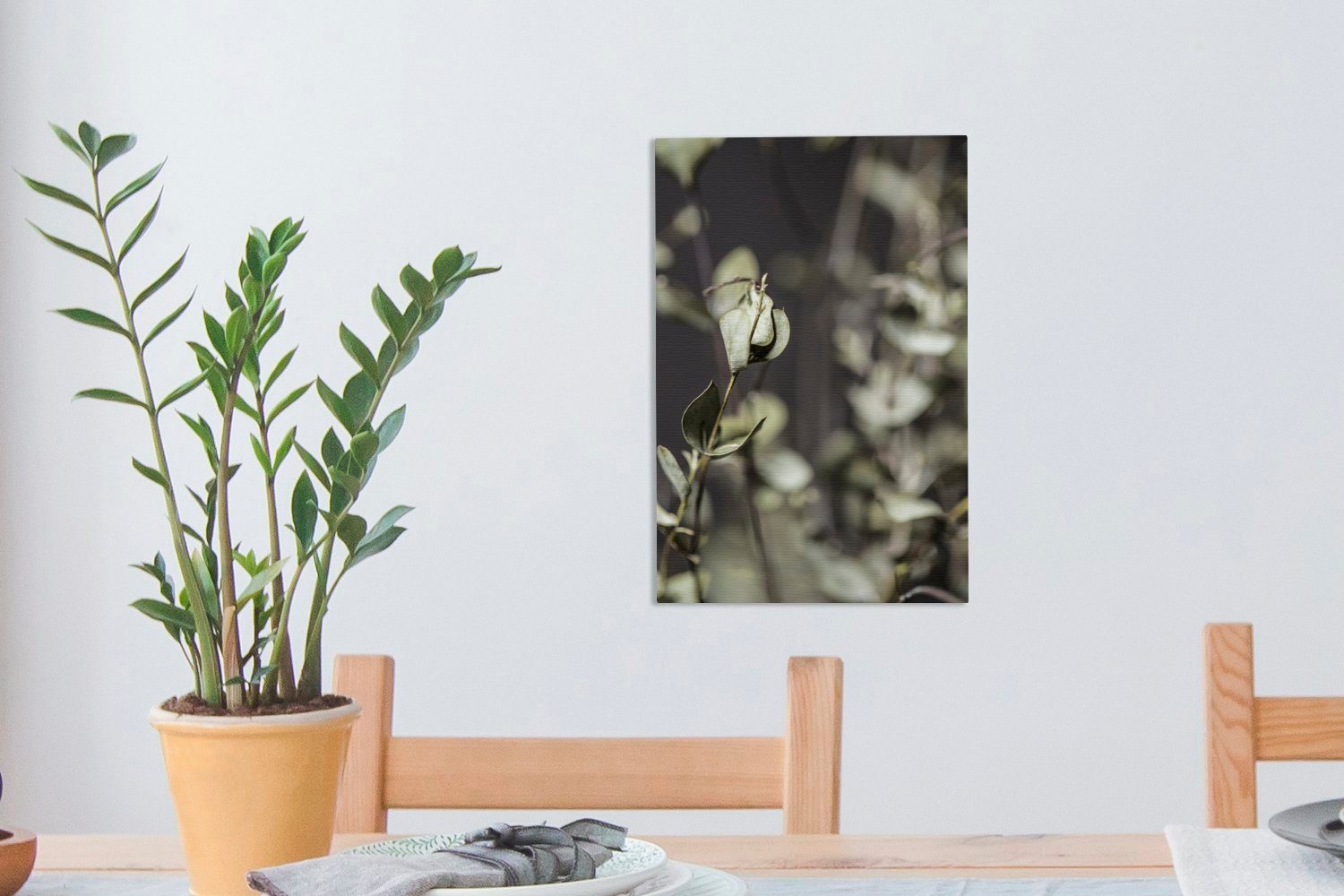Leinwandbild Leinwandbild Getrocknete inkl. Eukalyptuszweige, OneMillionCanvasses® St), fertig cm Gemälde, 20x30 (1 bespannt Zackenaufhänger,