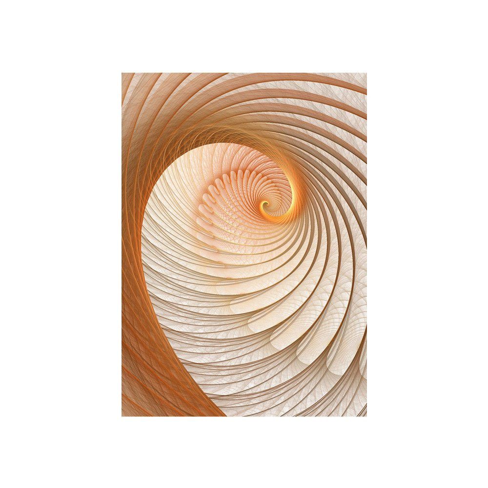 Netz Geflecht Fototapete Muschel liwwing liwwing Spirale 3D 3D Abstrakt Tunnel 904, no. Fototapete
