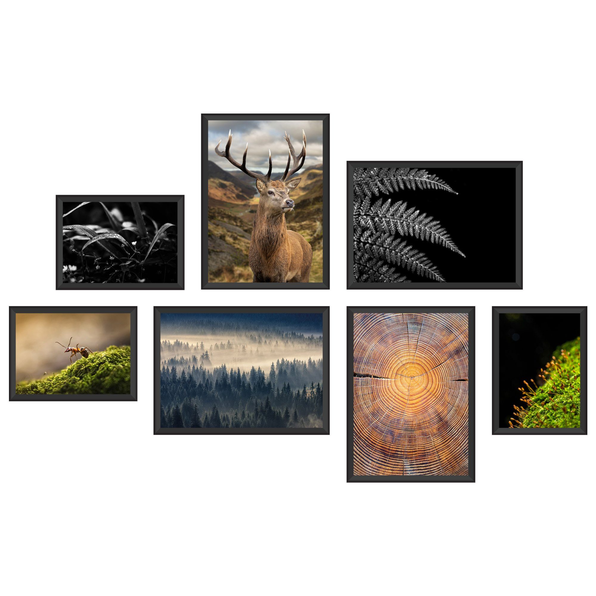 WallSpirit Poster Poster Set "Wald" – 7 Motive beidseitig bedruckt – OHNE R günstig online kaufen