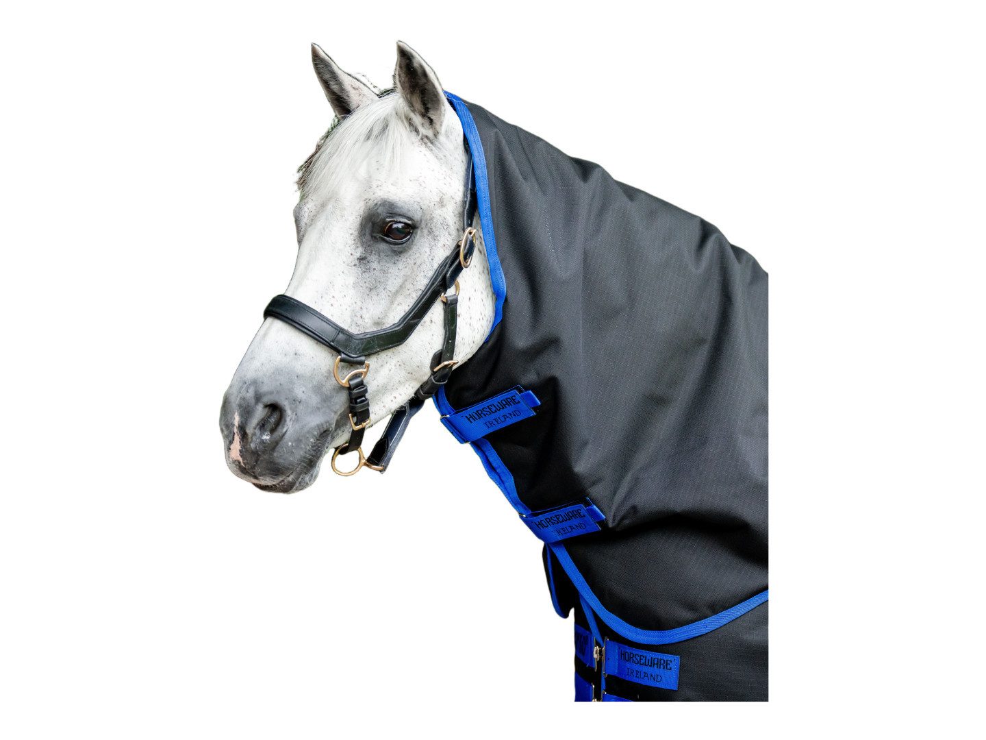 Horseware Pferde-Halsteil Halsteil Amigo Ripstop 900 0g in schwarz-classic blue