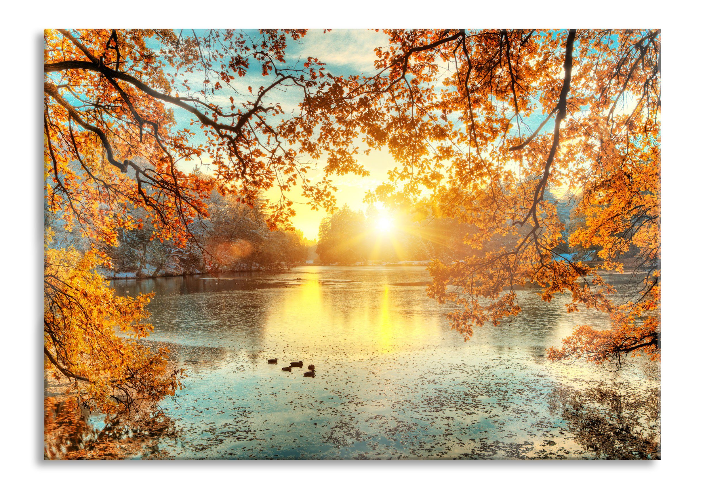 Glasbild Herbstbäume um See bei Sonnenuntergang