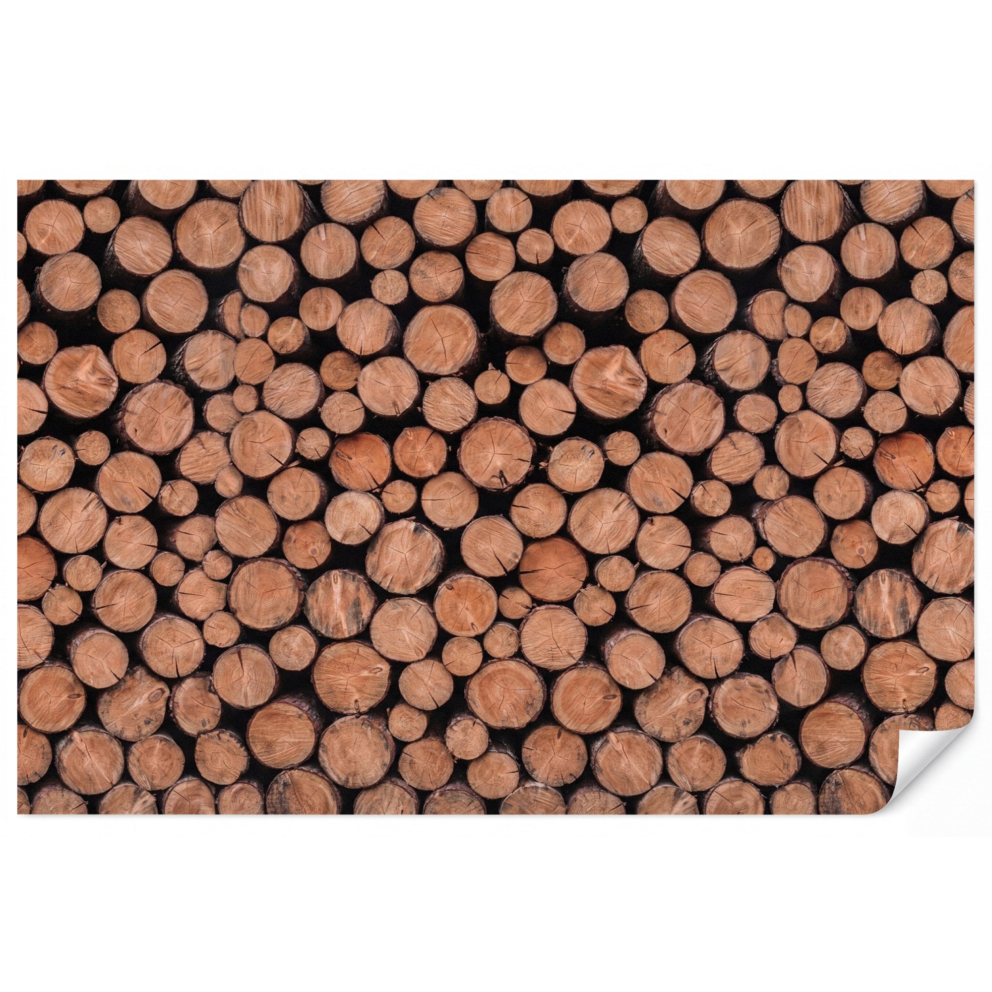 OnlyWow Fototapete Baumstämme - Textur - Muster - Braun - Rustikal, Matt, bedruckt, Wohnzimmer, Modern, bedruckt, Vinyl Tapete 100x70cm