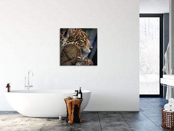 Pixxprint Glasbild Wunderschöner Leopard, Wunderschöner Leopard (1 St), Glasbild aus Echtglas, inkl. Aufhängungen und Abstandshalter