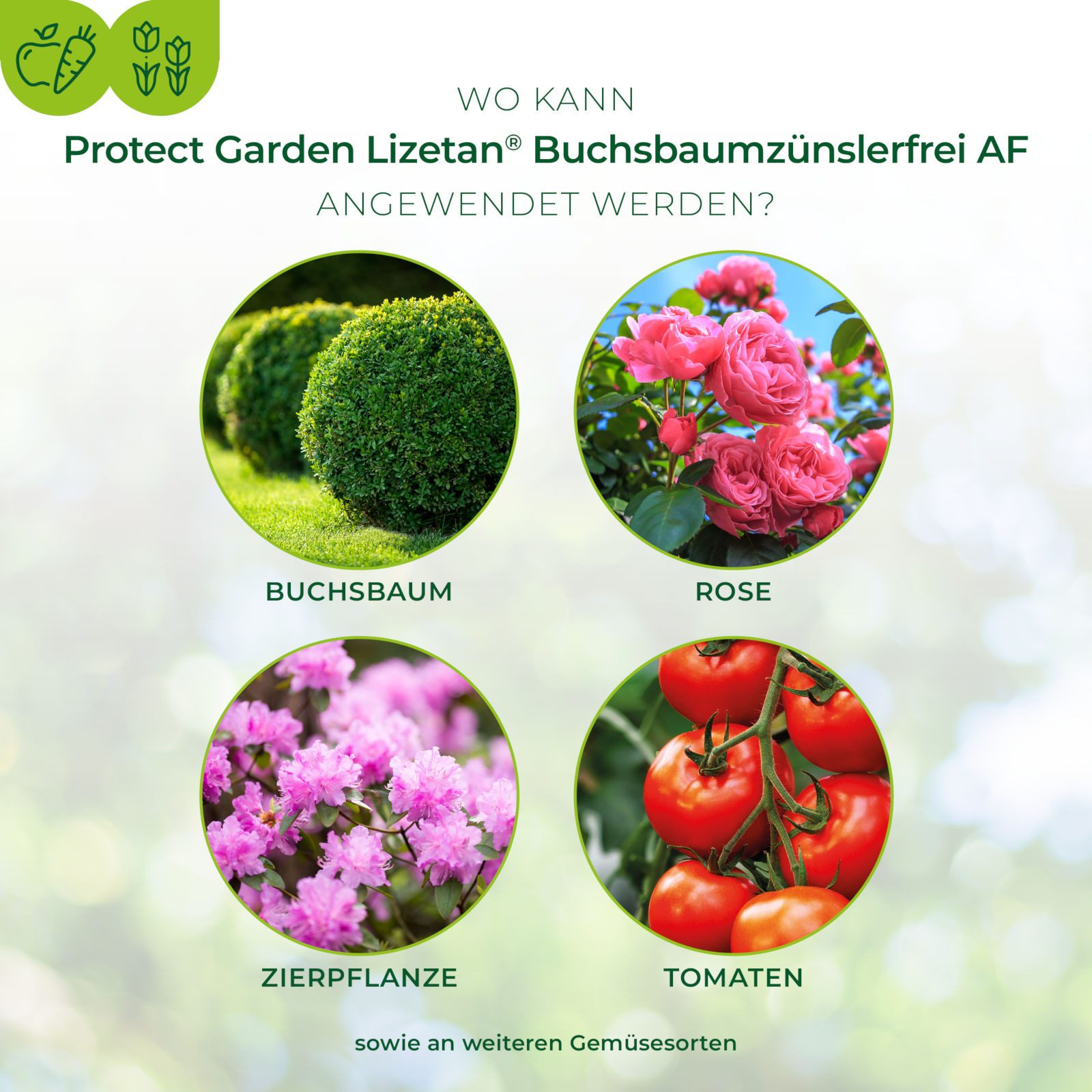 Protect Garden Insektenspray Lizetan Plus Buchsbaumzünslerfrei AF, 1 Liter, 1000 ml