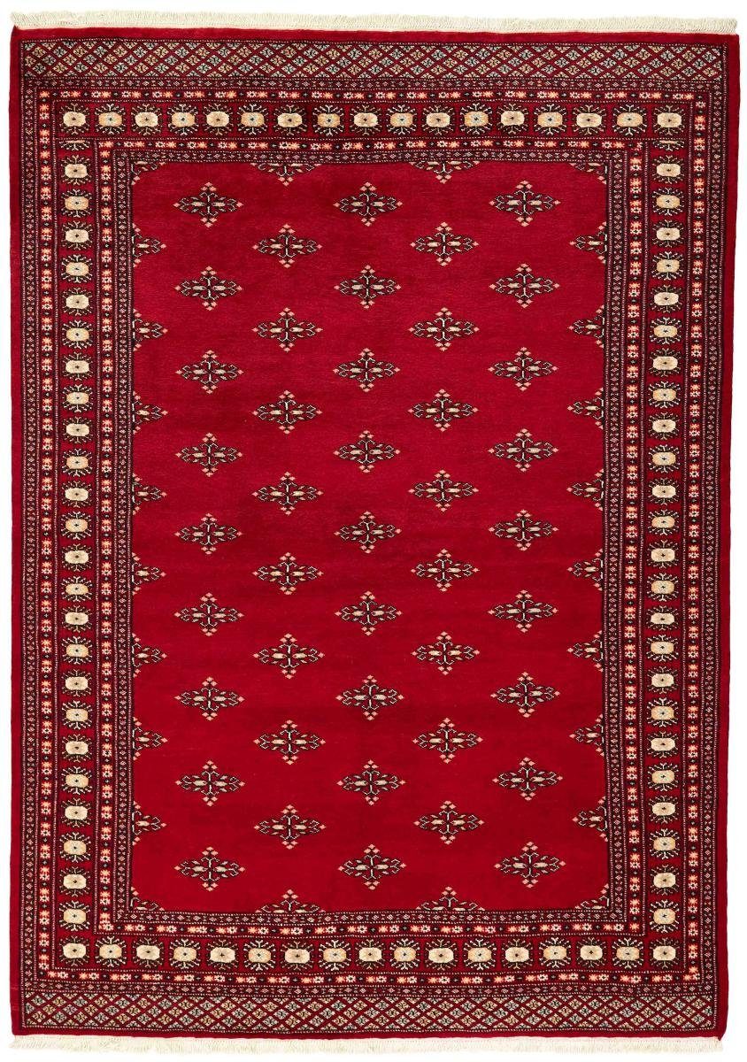 Orientteppich Pakistan Buchara 2ply 168x237 Handgeknüpfter Orientteppich, Nain Trading, rechteckig, Höhe: 8 mm