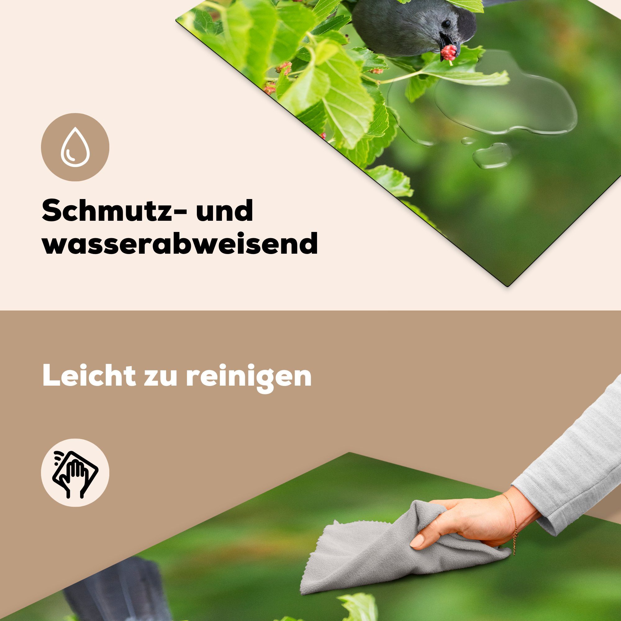 (1 cm, Maulbeerbaum, Ceranfeldabdeckung Katzenvogel im Grauer Vinyl, küche, tlg), für Schutz 81x52 MuchoWow die Herdblende-/Abdeckplatte Induktionskochfeld