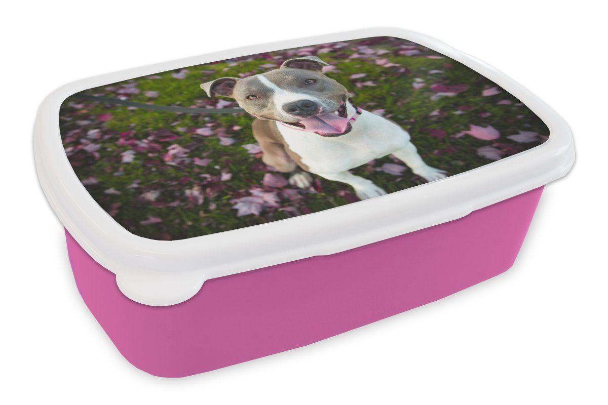 Lunchbox Erwachsene, Kinder, Hund MuchoWow Brotdose Brotbox Snackbox, (2-tlg), - Blumen, rosa Kunststoff Mädchen, Gras Kunststoff, für -