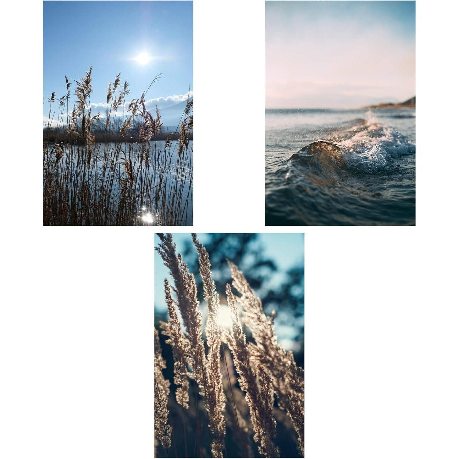 LuxusKollektion Poster Poster Set 3er Wohnzimmer Pampasgras Blau Meer F-30 x 40 cm
