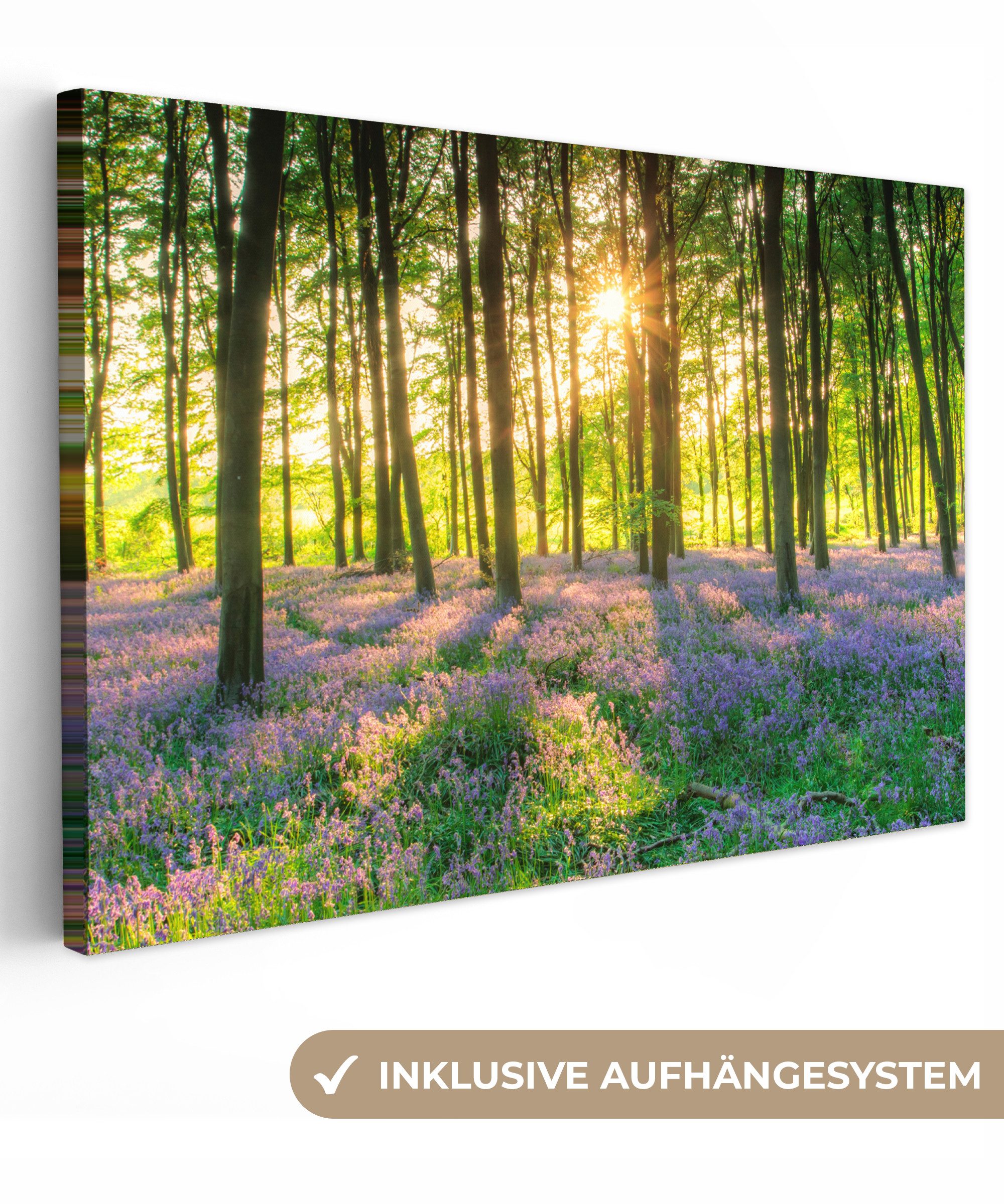 OneMillionCanvasses® Leinwandbild Frühling - Wald - Sonne, Fotodruck (1 St), Leinwand Зображення Klein, Wand Dekoration Aesthetic 30x20 cm