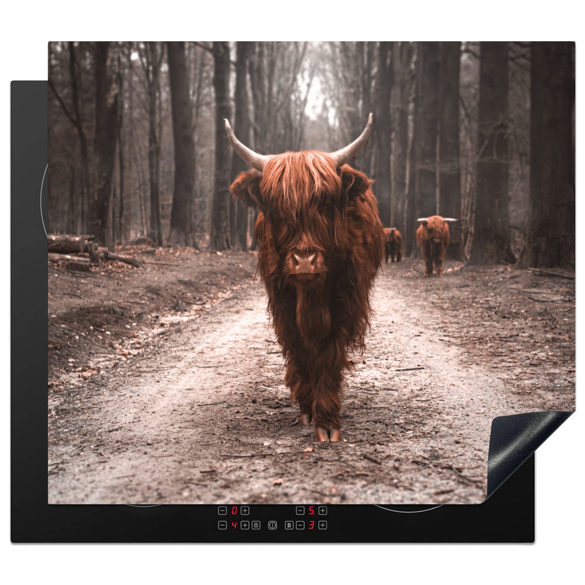 MuchoWow Herdblende-/Abdeckplatte Schottische Highlander - Tiere - Bäume, Vinyl, (1 tlg), 59x52 cm, Ceranfeldabdeckung für die küche, Induktionsmatte
