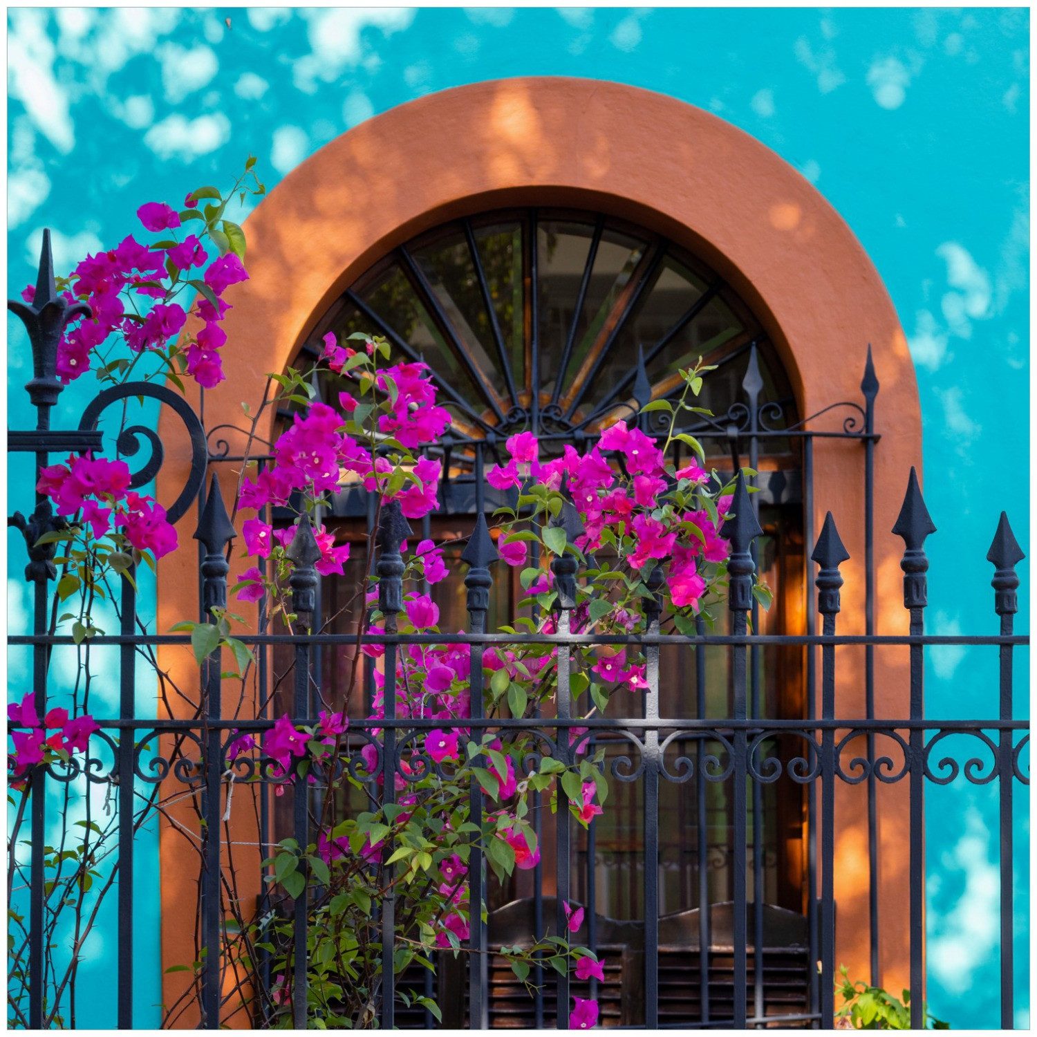 Wallario Möbelfolie Pinke Blumen vor türkisfarbener Fassade