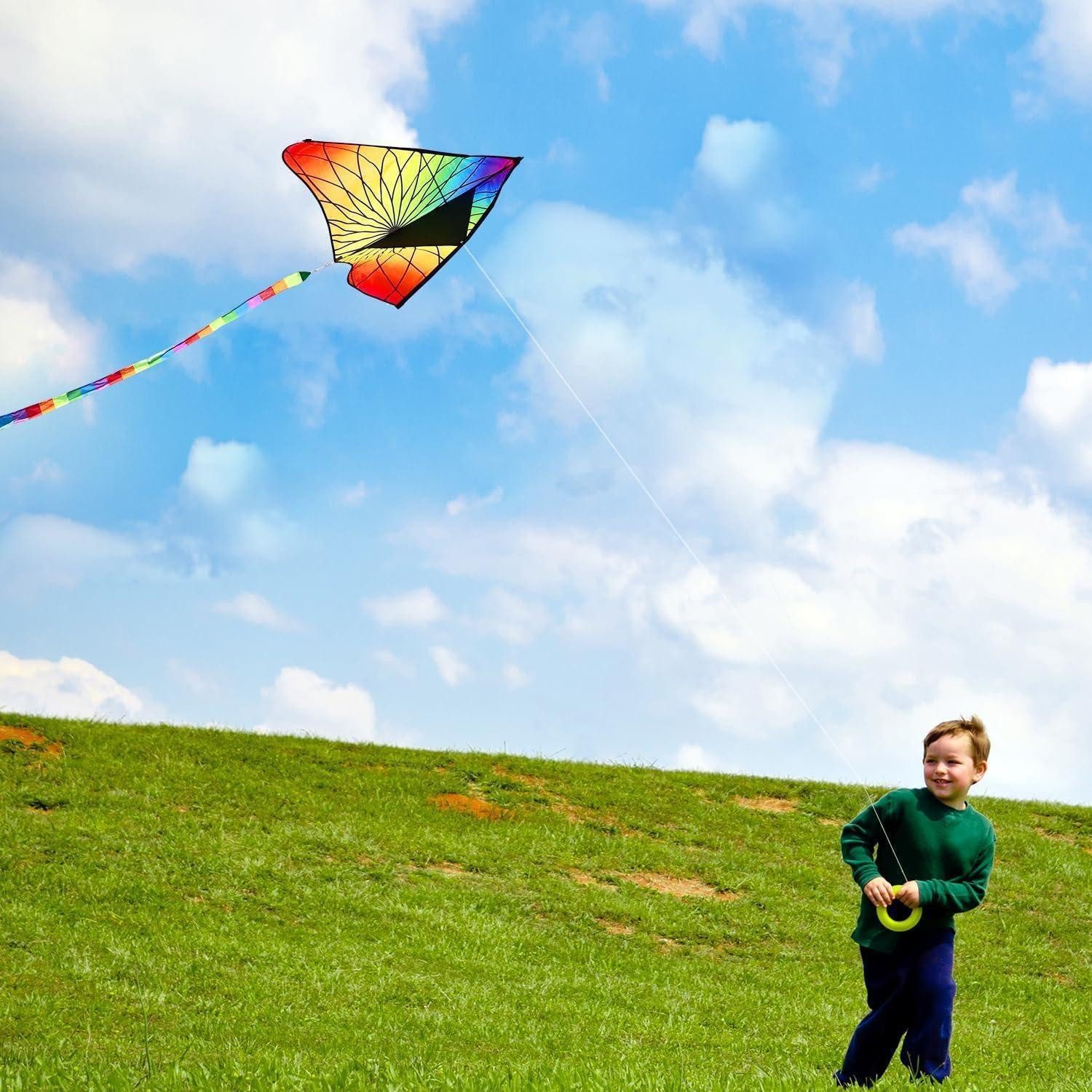 LuxusKollektion Kite Drachen Delta Kinder Erwachsene Anfänger Leine Flower