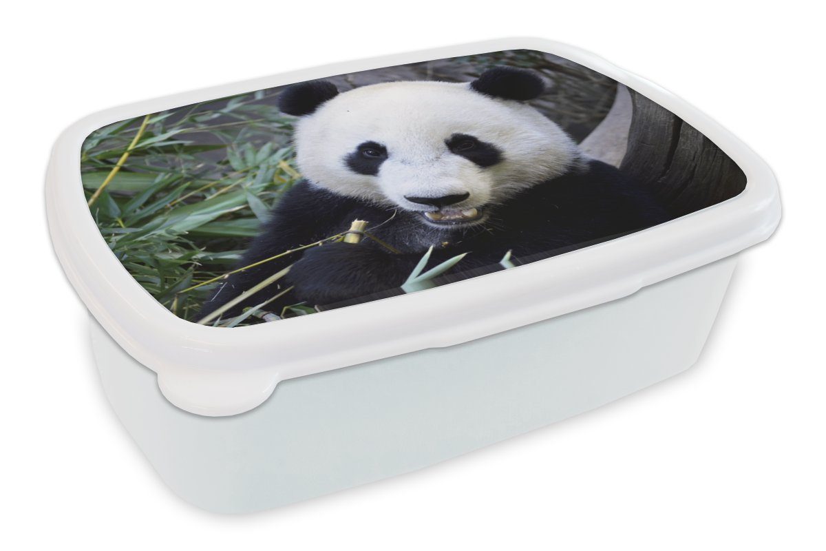 MuchoWow Lunchbox Panda - Tier - Blätter, Kunststoff, (2-tlg), Brotbox für Kinder und Erwachsene, Brotdose, für Jungs und Mädchen weiß