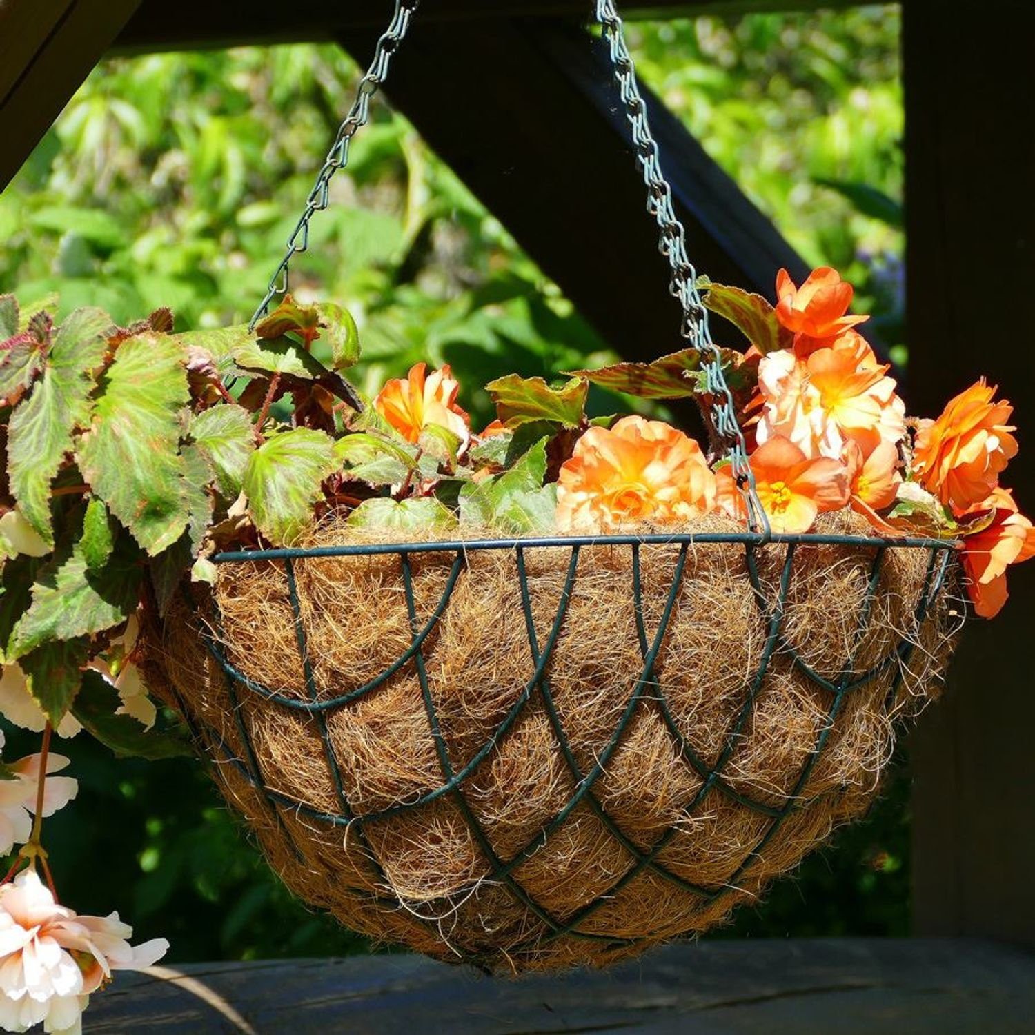 Grüner Jan Pflanzkübel Pflanzeinlage für Pflanzkörbe und Blumenampeln 35cm Kokos-Einleger Kok