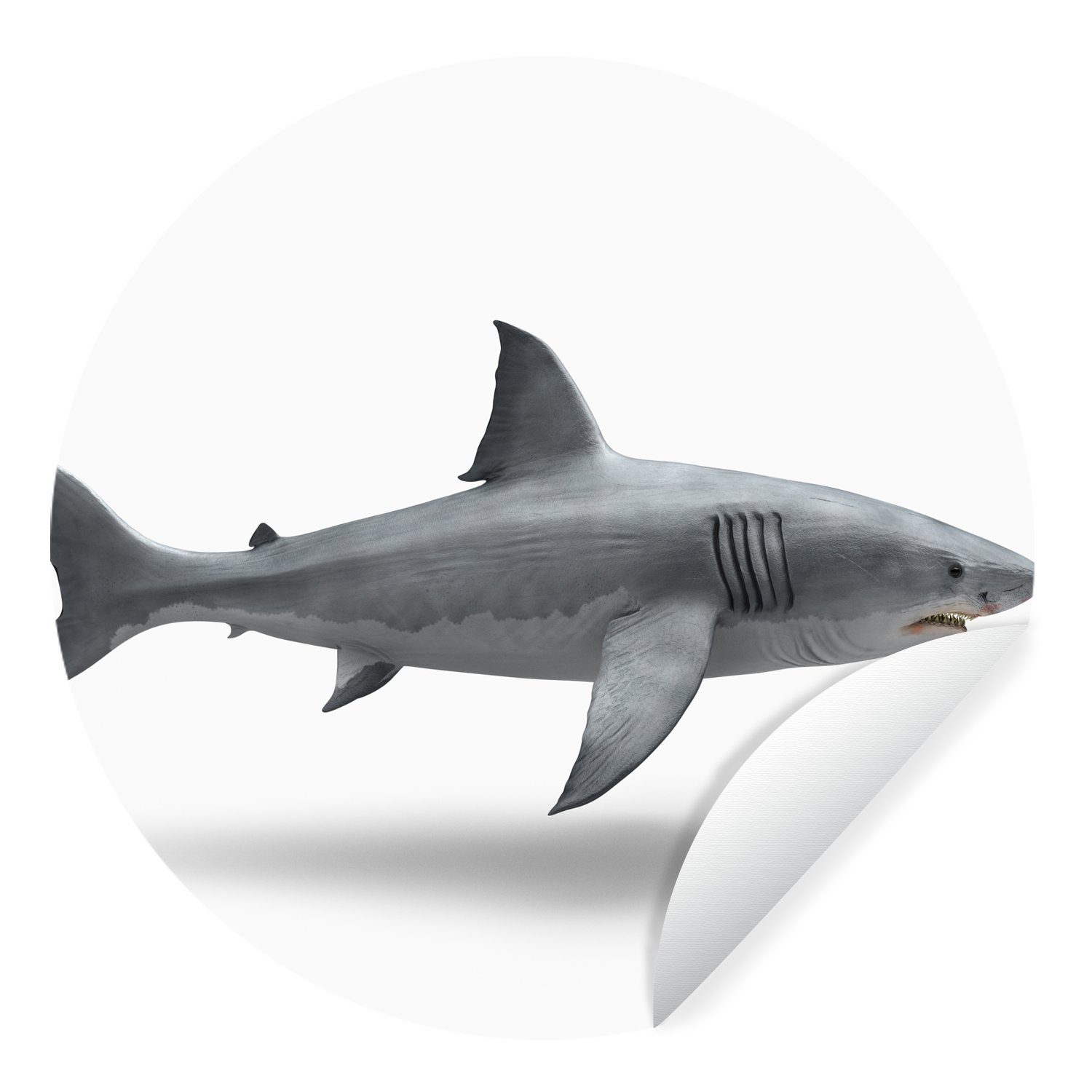 MuchoWow Wandsticker Hai - Meerestiere - Weiß (1 St), Tapetenkreis für Kinderzimmer, Tapetenaufkleber, Rund, Wohnzimmer