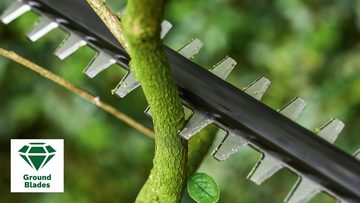 Bosch Home & Garden Akku-Heckenschere UniversalHedgePole 18, 43 cm Schnittlänge, ohne Akku und Ladegerät