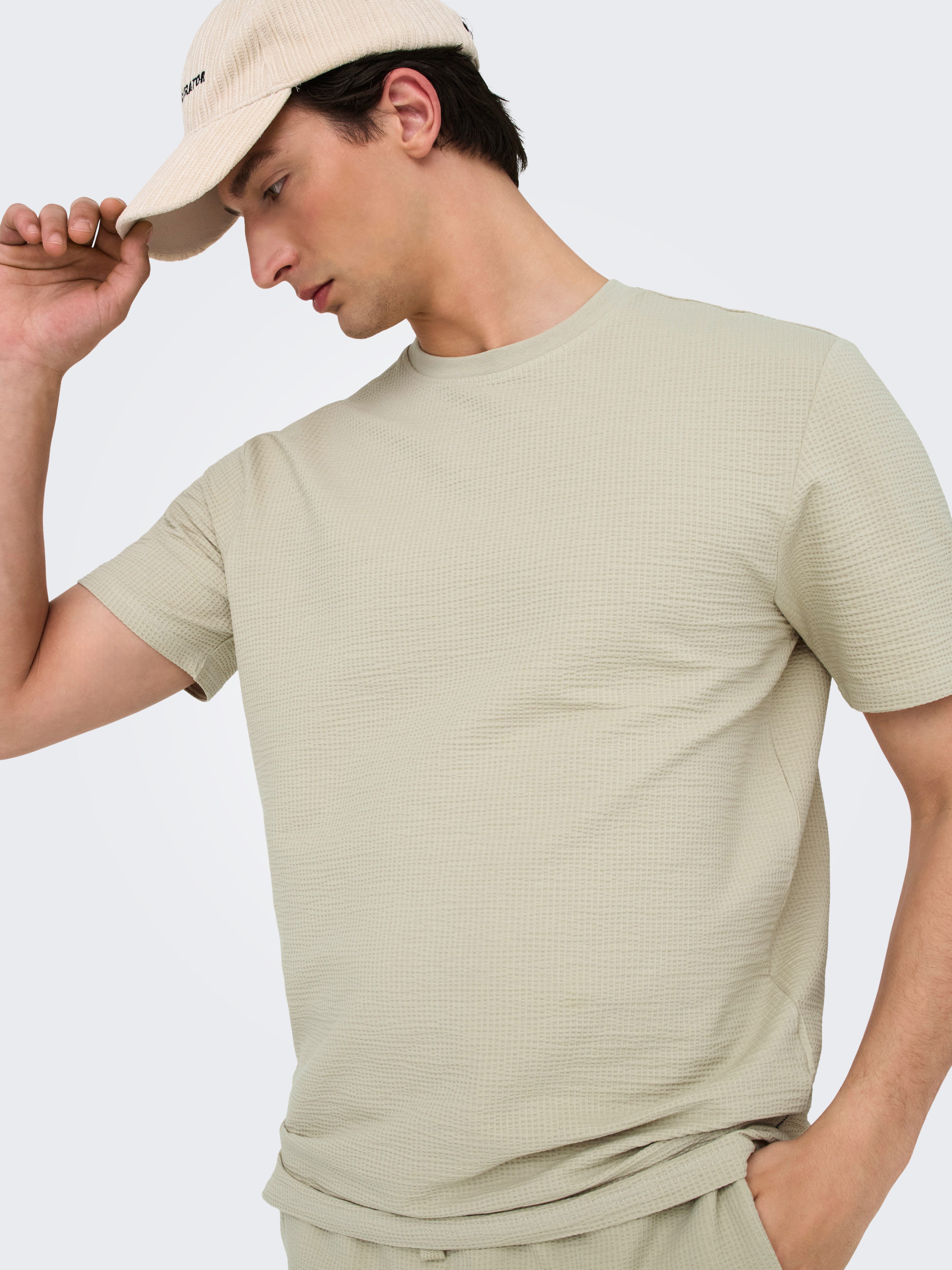 ONLY & SONS Rundhalsshirt ONSKIAN LIFE REG SEERSUCKER SS TEE NOOS
