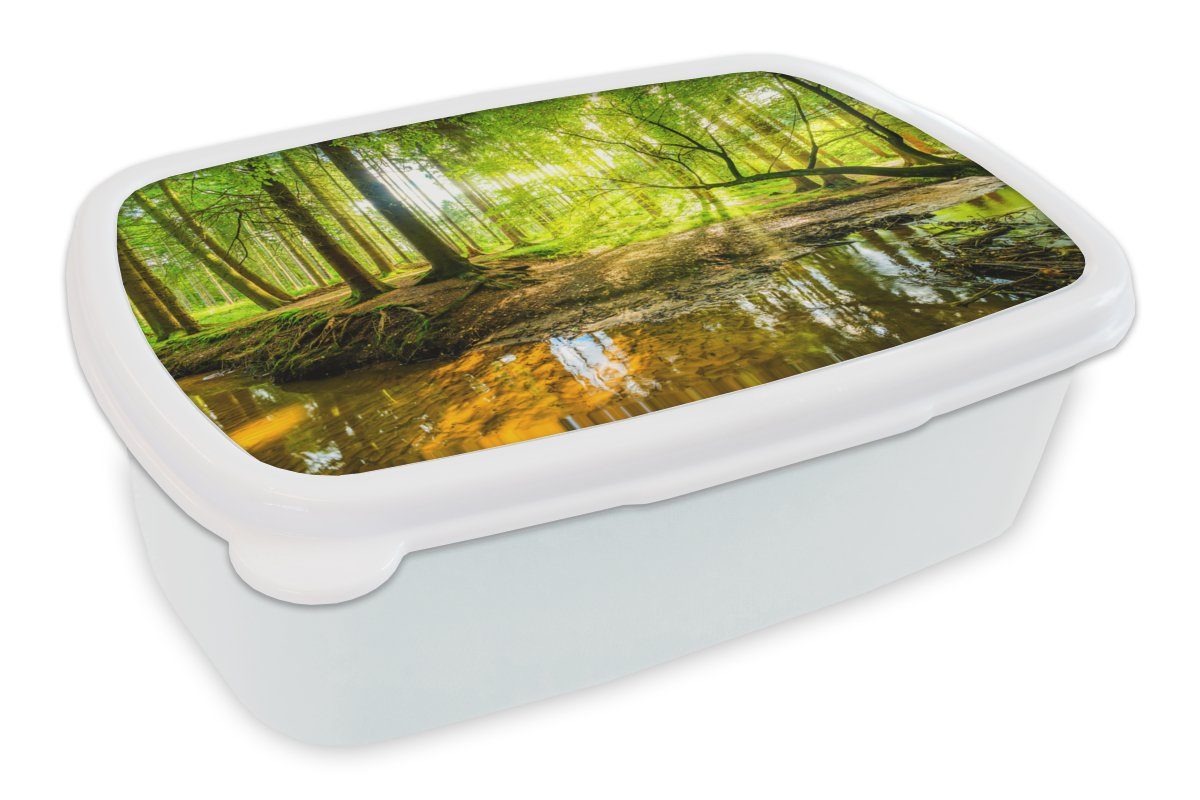 MuchoWow Lunchbox Wald - Landschaft - Wasser - Bäume - Sonne - Grün - Natur, Kunststoff, (2-tlg), Brotbox für Kinder und Erwachsene, Brotdose, für Jungs und Mädchen weiß