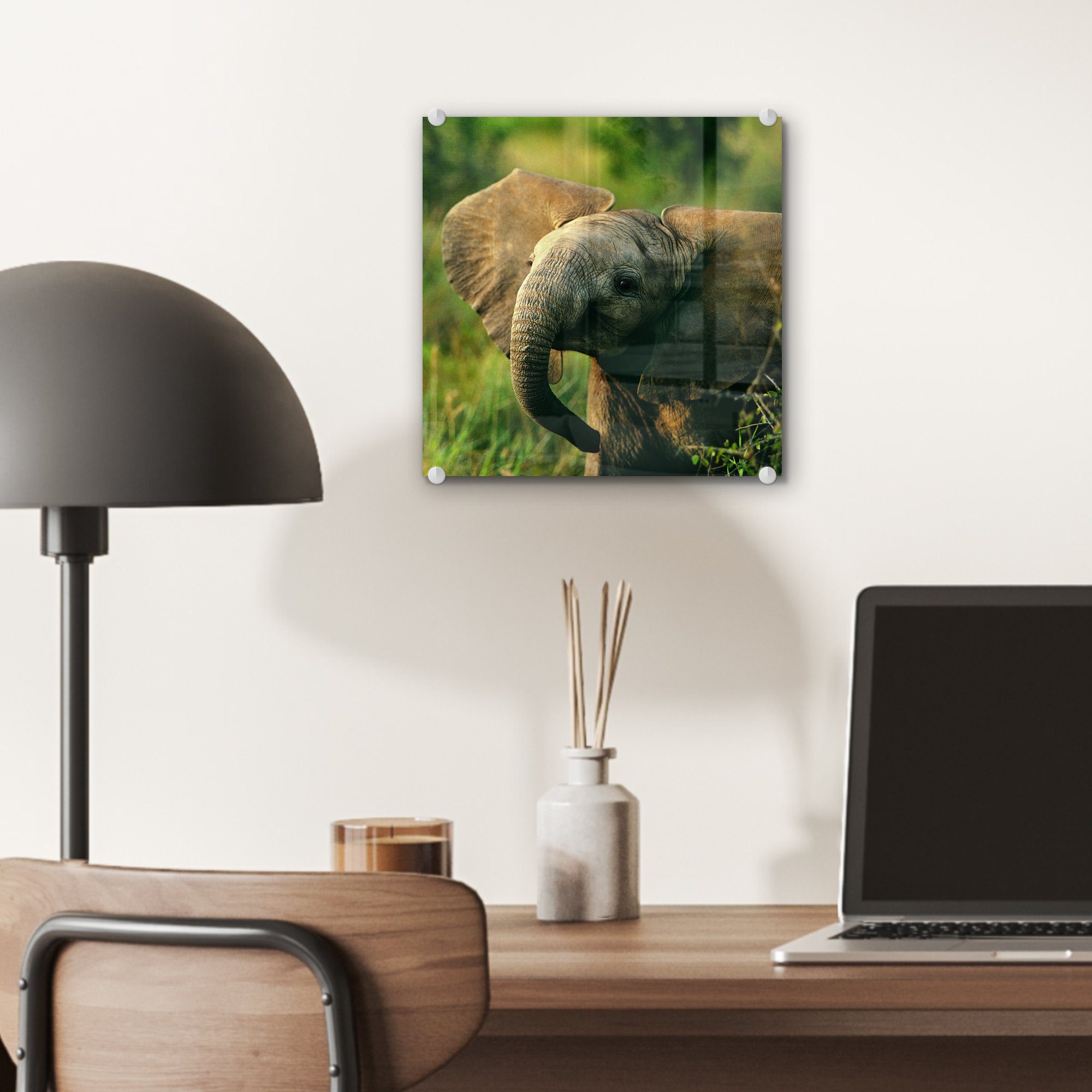 Acrylglasbild Bilder Tiere - - - Glas MuchoWow Wanddekoration Glasbilder - Elefant (1 Foto Wandbild - Grün auf Natur, St), Glas auf -