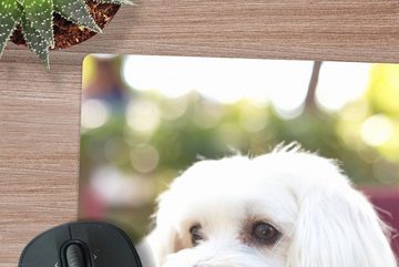 MuchoWow Gaming Mauspad Niedlicher Malteser Hund (1-St), Mousepad mit Rutschfester Unterseite, Gaming, 40x40 cm, XXL, Großes