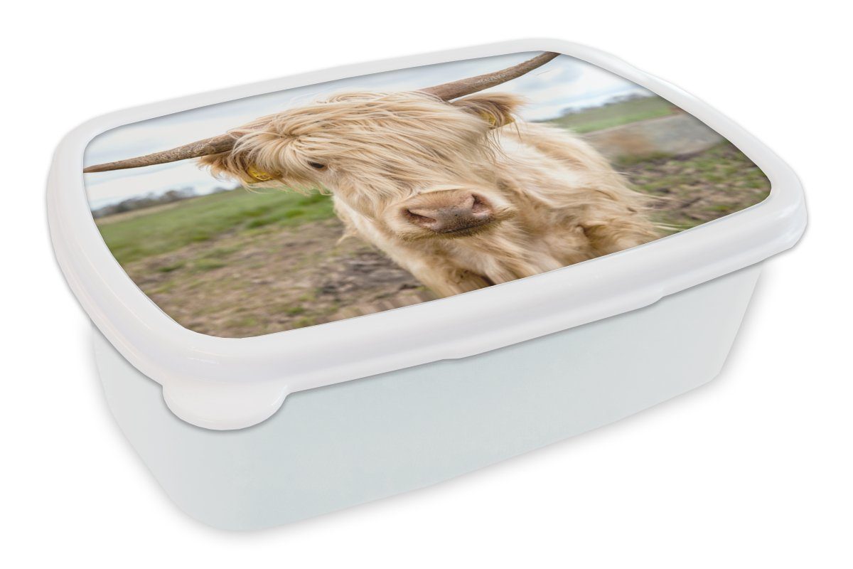 MuchoWow Lunchbox Schottische Highlander - Licht - Landschaft, Kunststoff, (2-tlg), Brotbox für Kinder und Erwachsene, Brotdose, für Jungs und Mädchen weiß