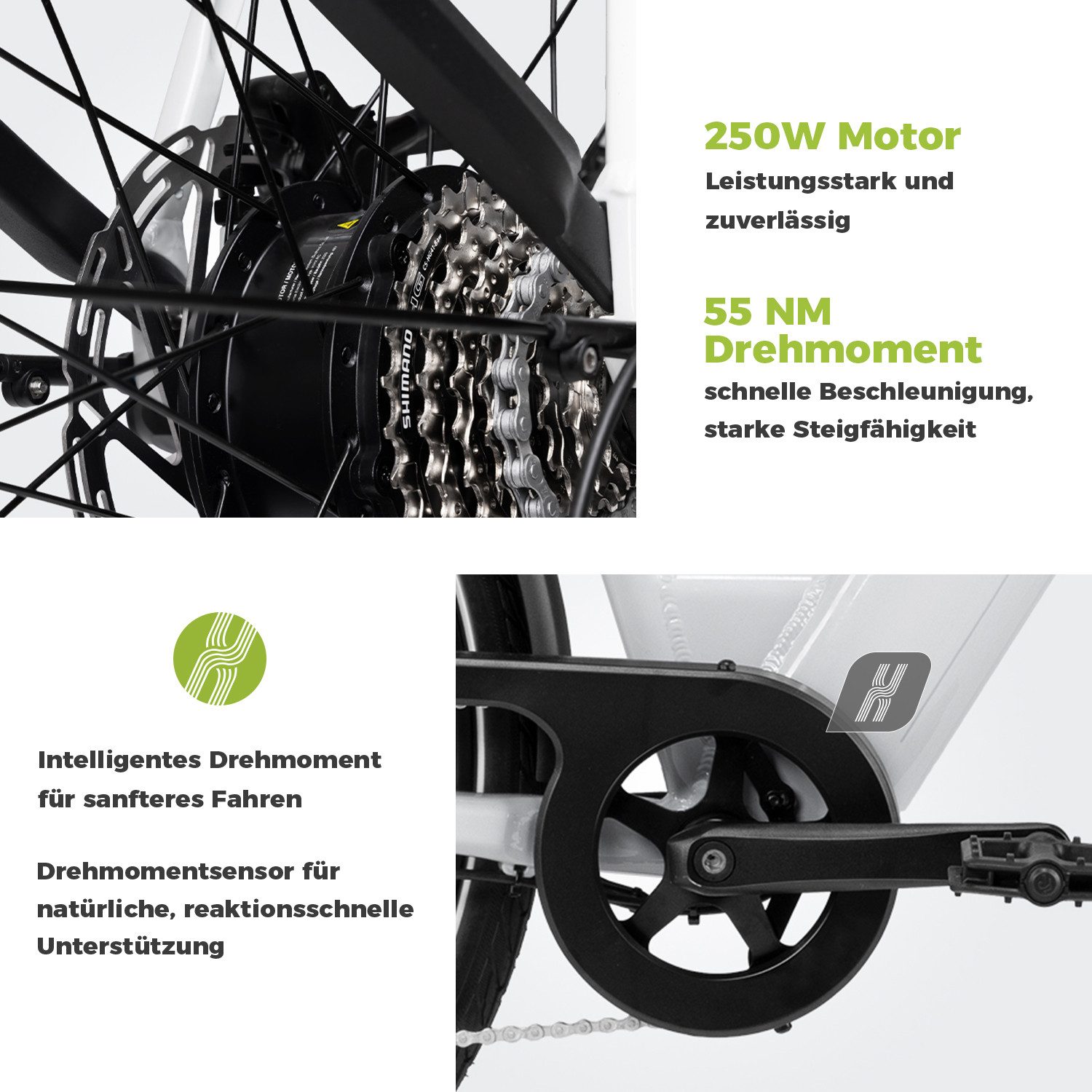 DERUIZ E-Bike Cityrad Quartz E-Bike 28 Zoll Tiefeinsteiger Torque-Sensor, 8 Gang Shimano Altus RD-M310 Schaltwerk, Kettenschaltung, Heckmotor, 644 Wh, (Federgabel mit Lockout Farb-LCD-Display Drehmomentsensor)