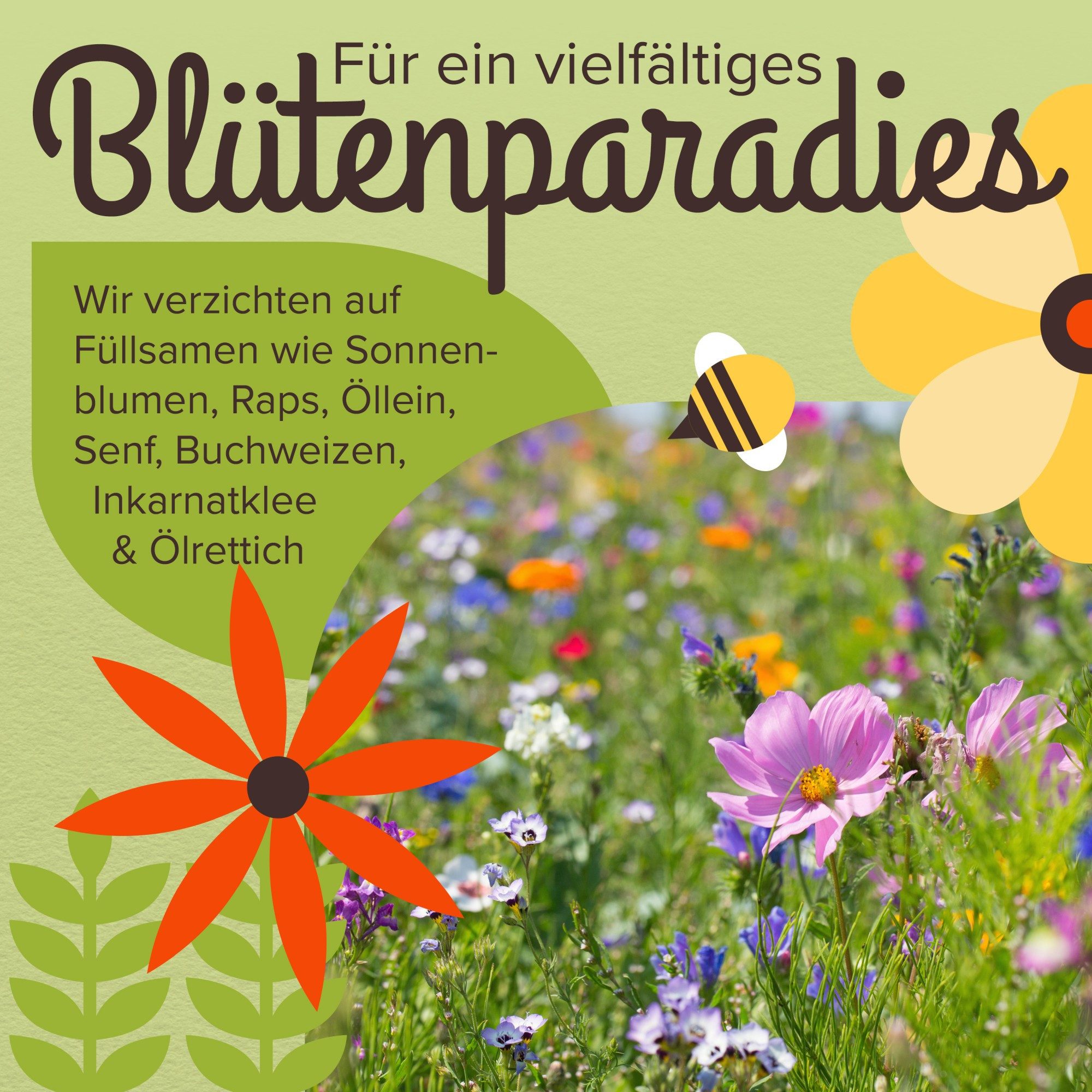 Bienenmagnet Blumensamen Premium Wildblumensamen für eine bunte Blumenwiese - Farbenfroh, 0.1 kg, Premium Saatgut