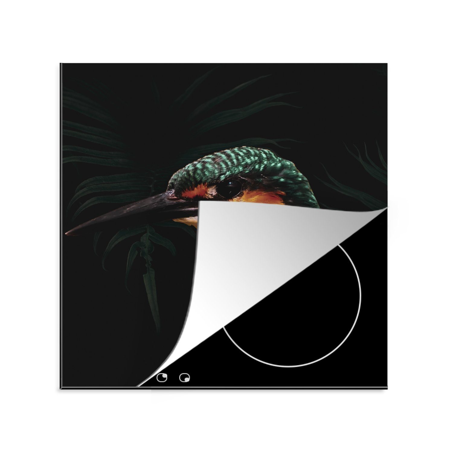 MuchoWow Herdblende-/Abdeckplatte Eisvogel - Vogel für Grün, Vinyl, - cm, küche 78x78 Arbeitsplatte Ceranfeldabdeckung, tlg), (1