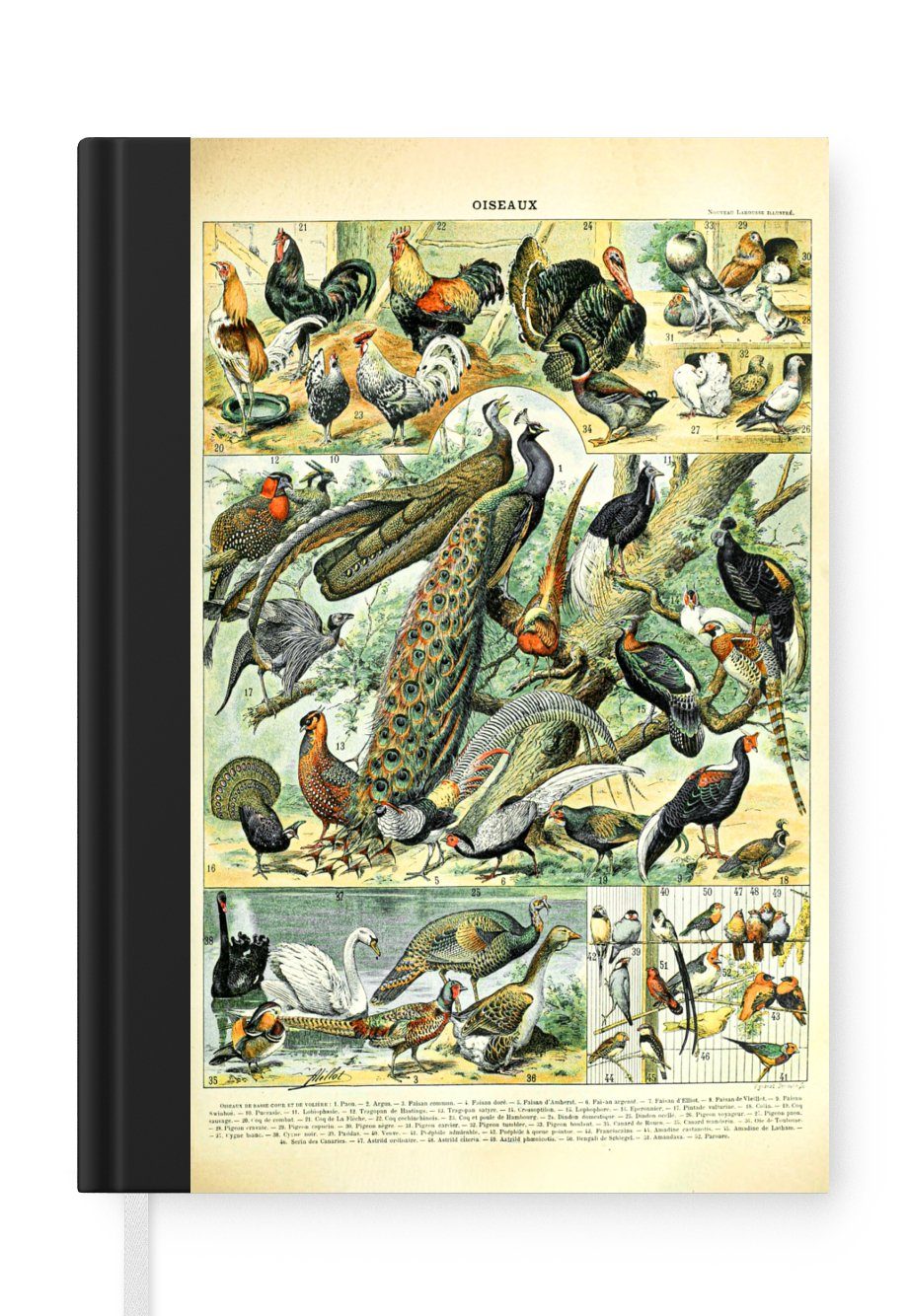 MuchoWow Haushaltsbuch Notizbuch - Journal, Tagebuch, - Vögel Jahrgang, Seiten, Merkzettel, Notizheft, 98 A5, Tier