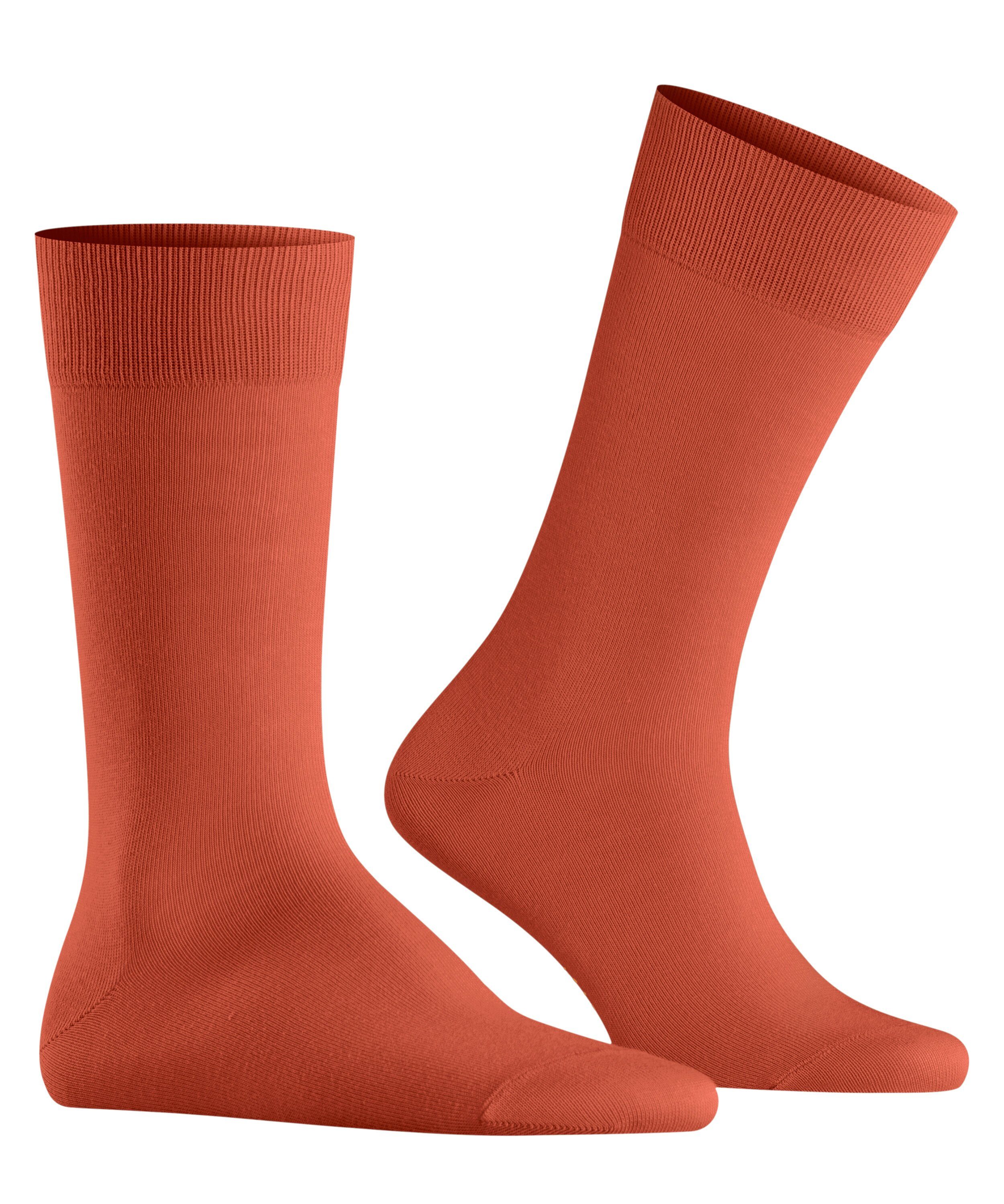 Burlington Socken Lord (1-Paar) mit Bio-Baumwolle günstig online kaufen