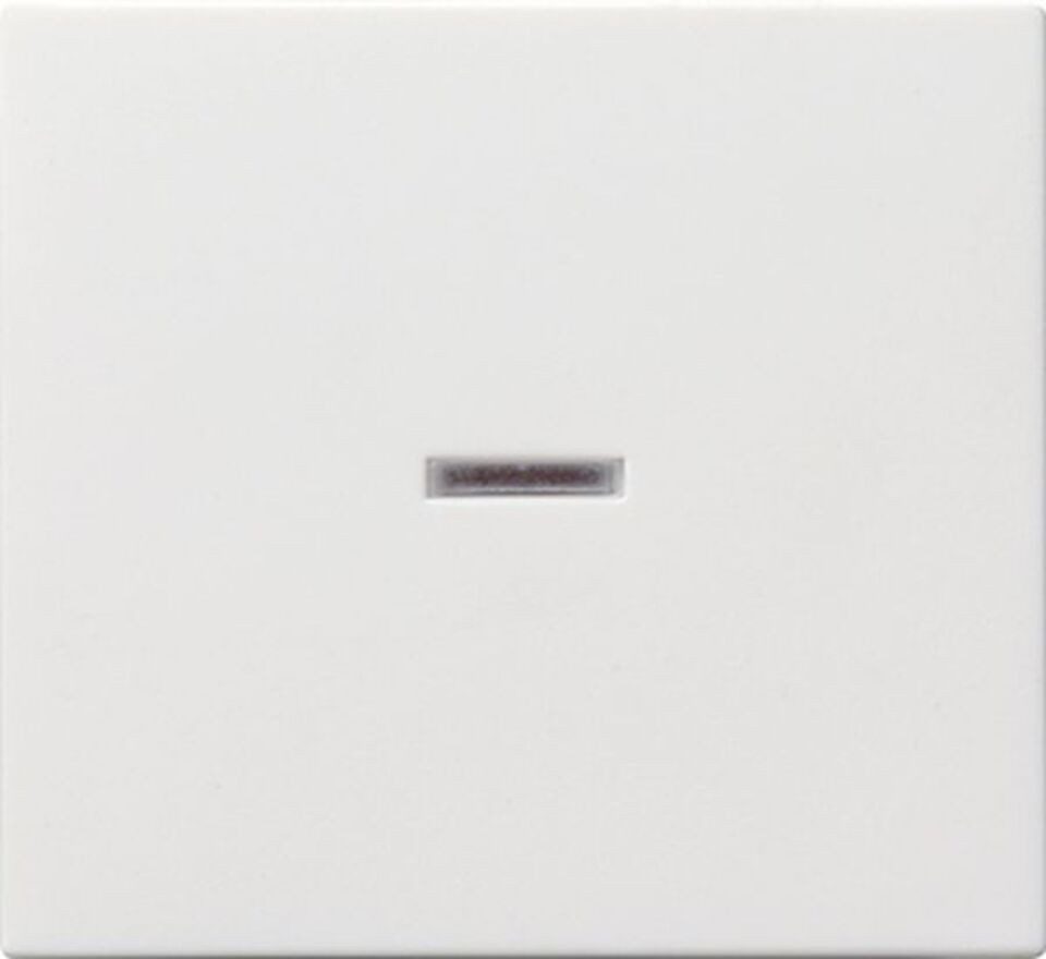 GIRA Schalter GIRA 029003 Wippe Kontrollfenster System 55 Reinweiß glänzend